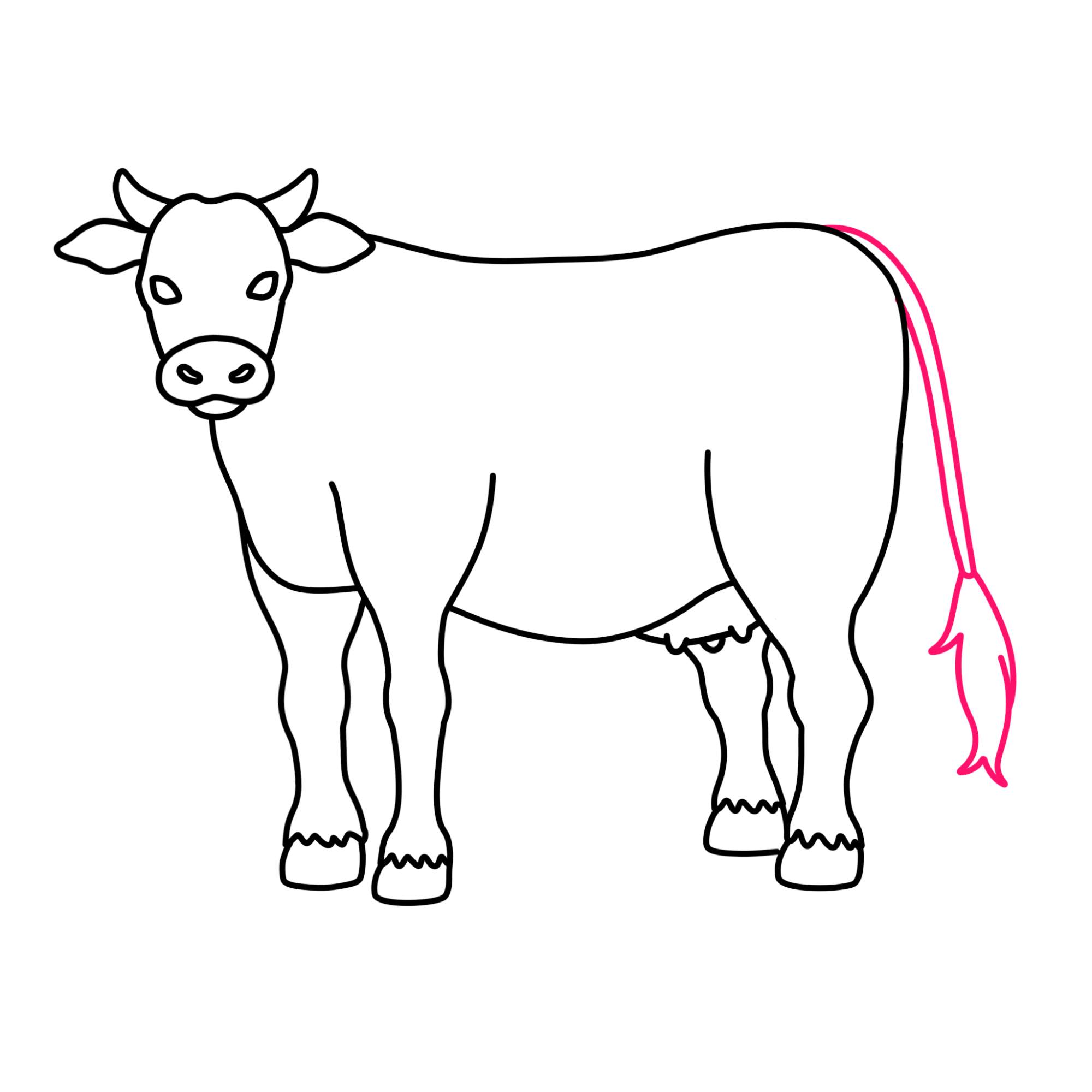 How to Draw a Cow - Step-9