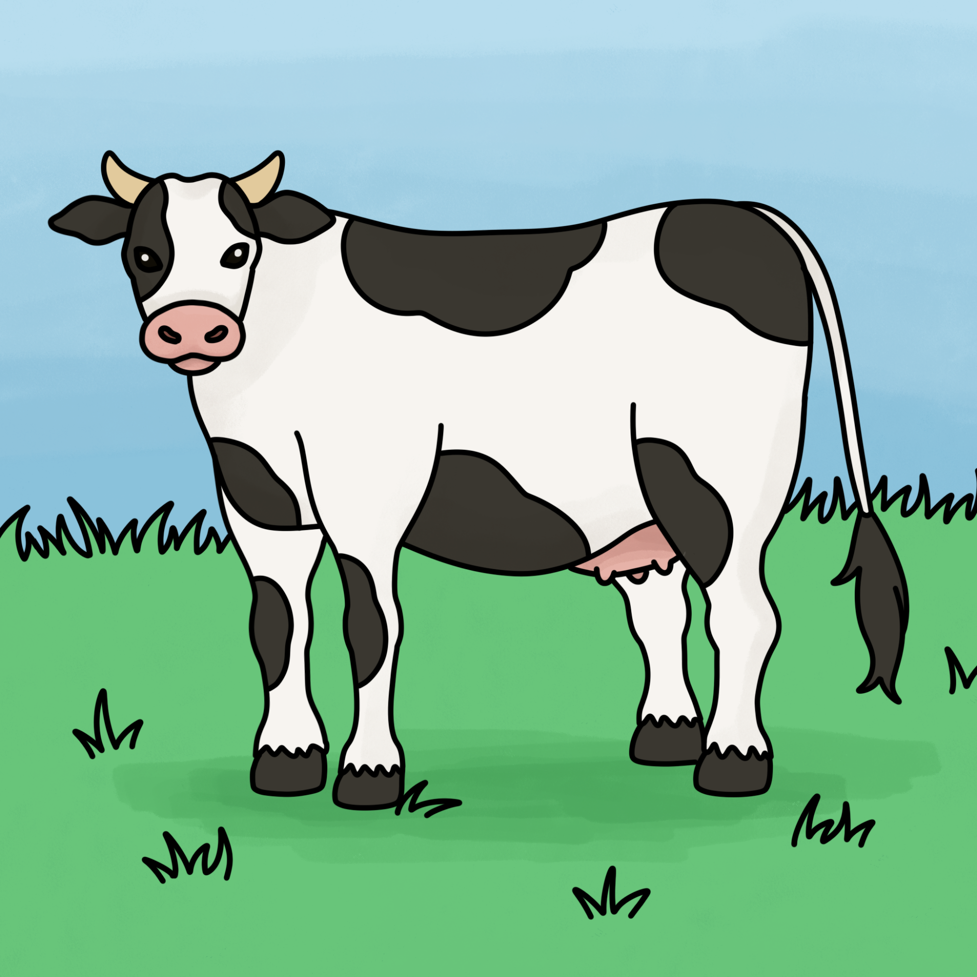 How to Draw a Cow