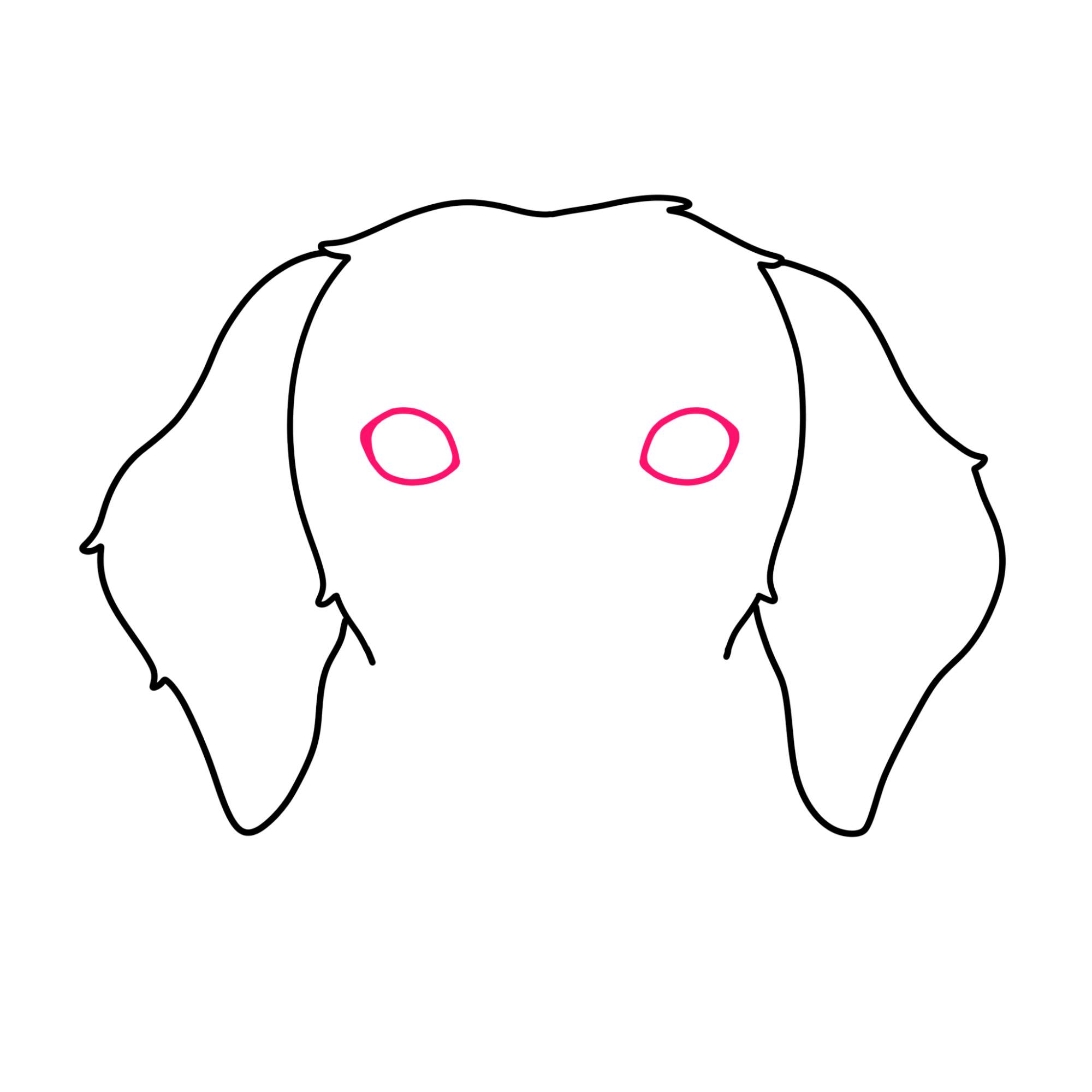 How to Draw a Dog Face - Step-3