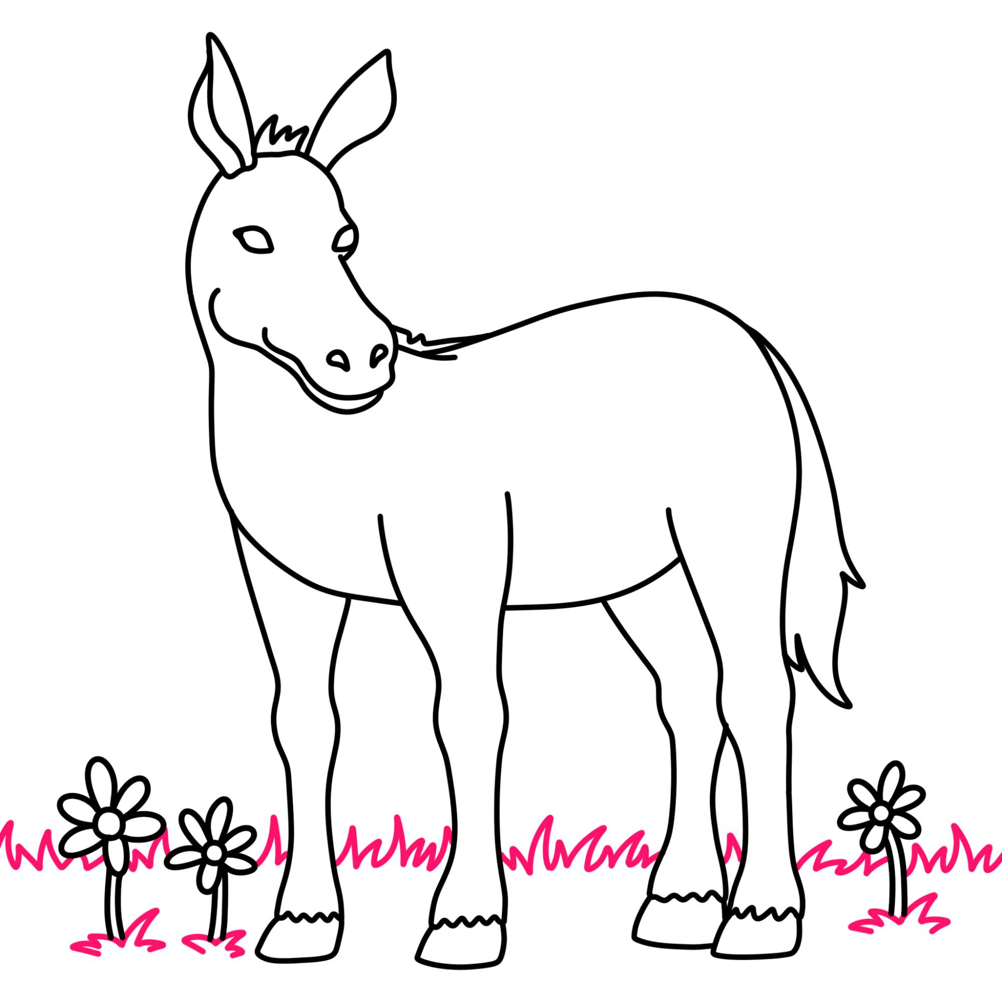 How to Draw a Donkey - Step-13