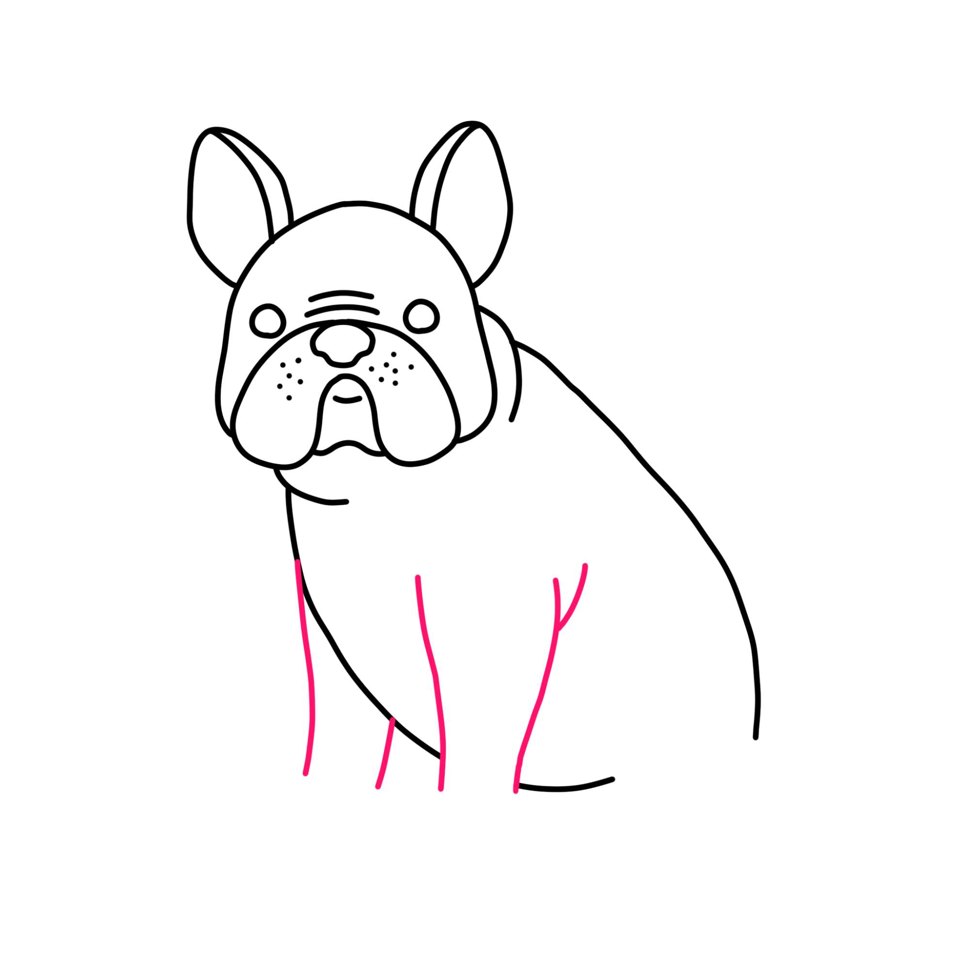 How to Draw a French Bulldog - Step-10