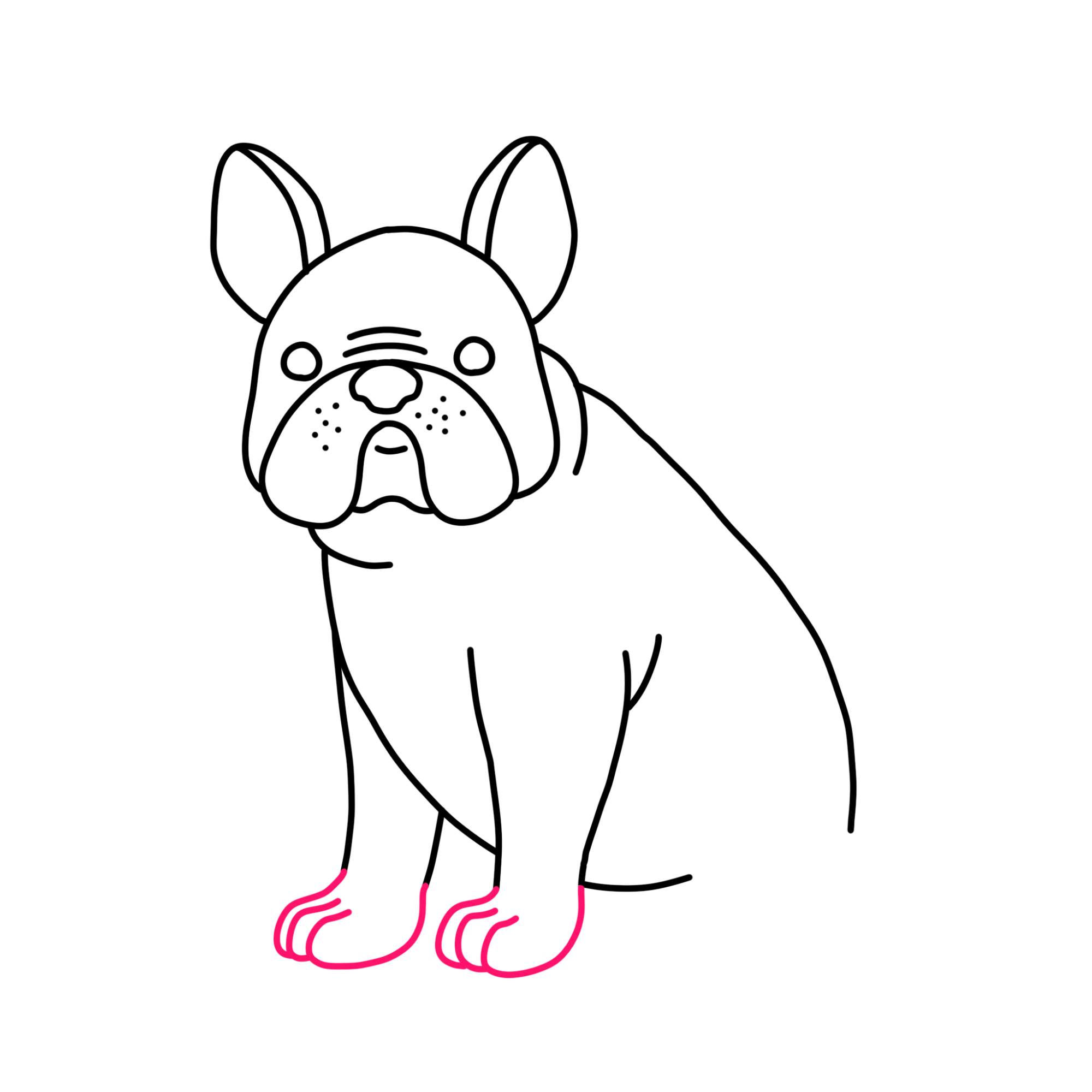 How to Draw a French Bulldog - Step-11