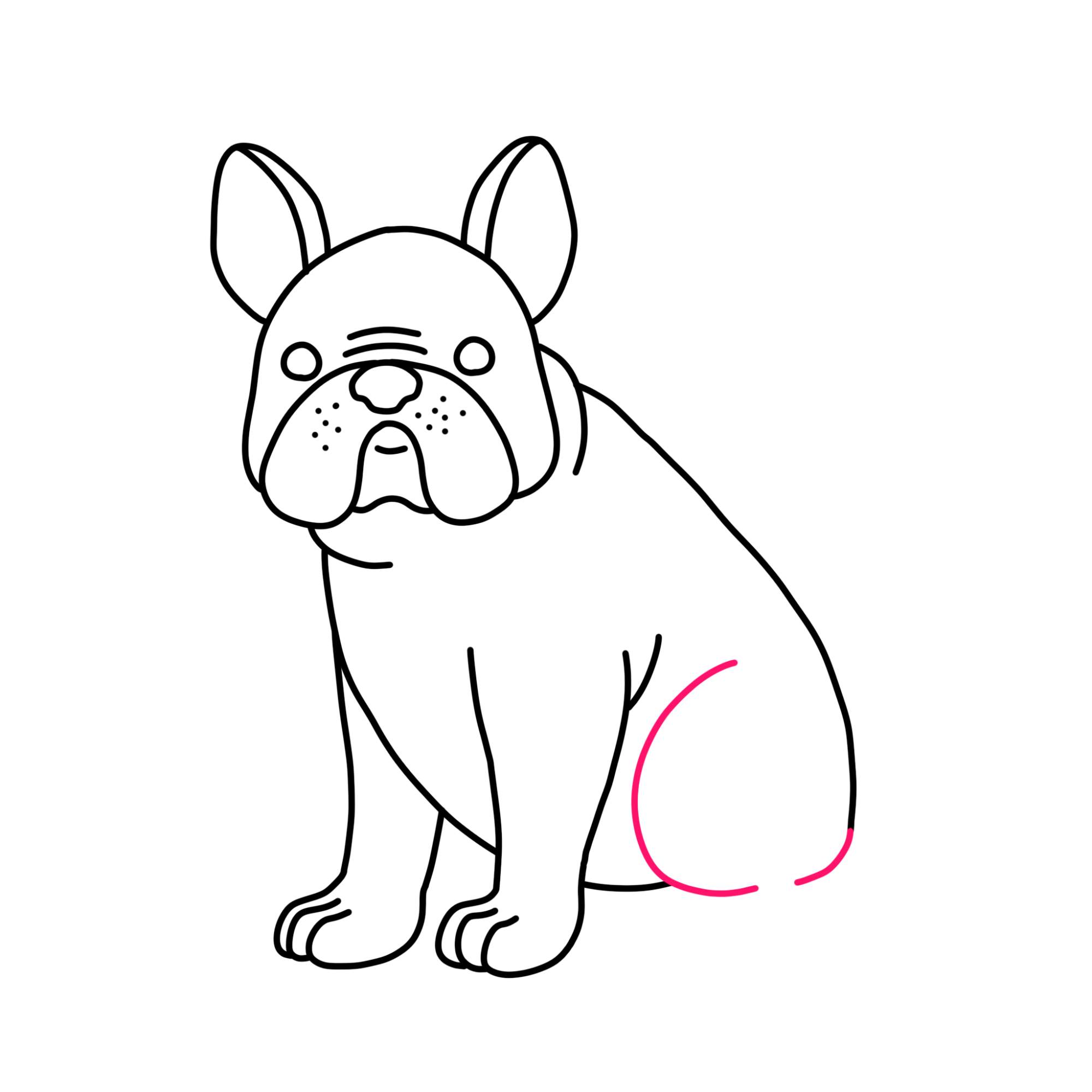 How to Draw a French Bulldog - Step-12