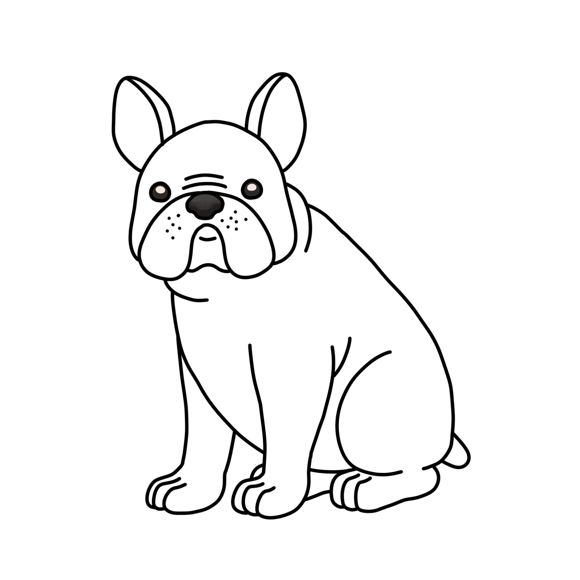 How to Draw a French Bulldog - Step-15