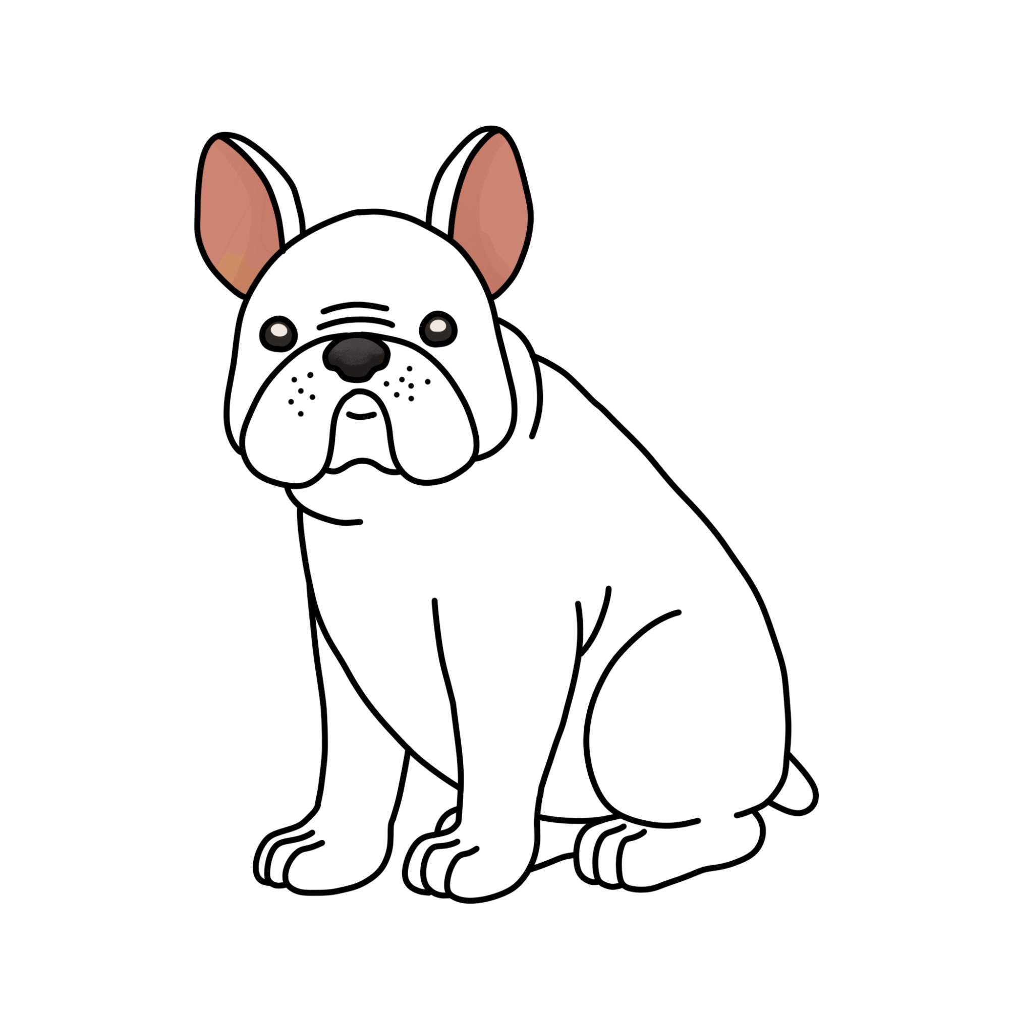 How to Draw a French Bulldog - Step-16