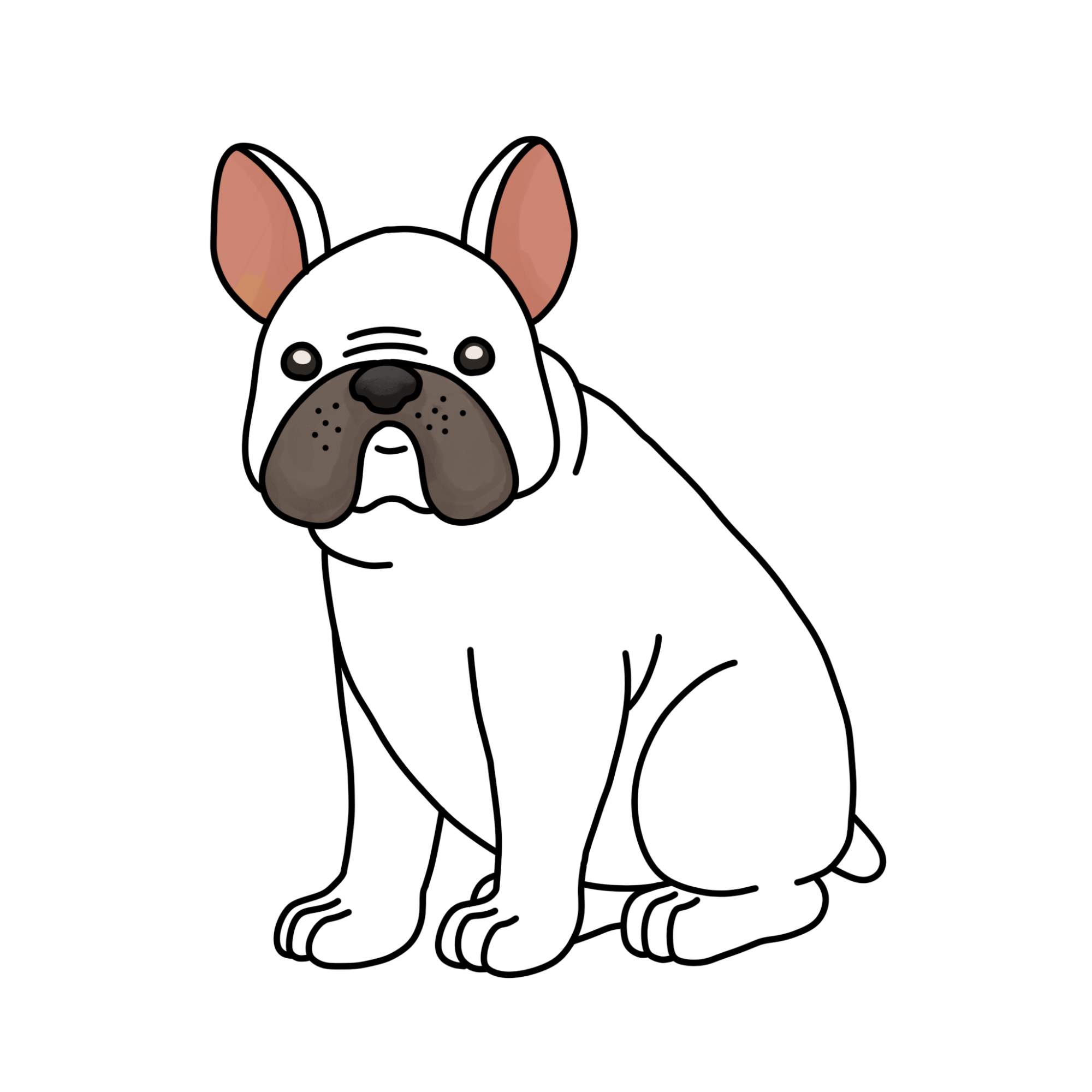 How to Draw a French Bulldog - Step-17