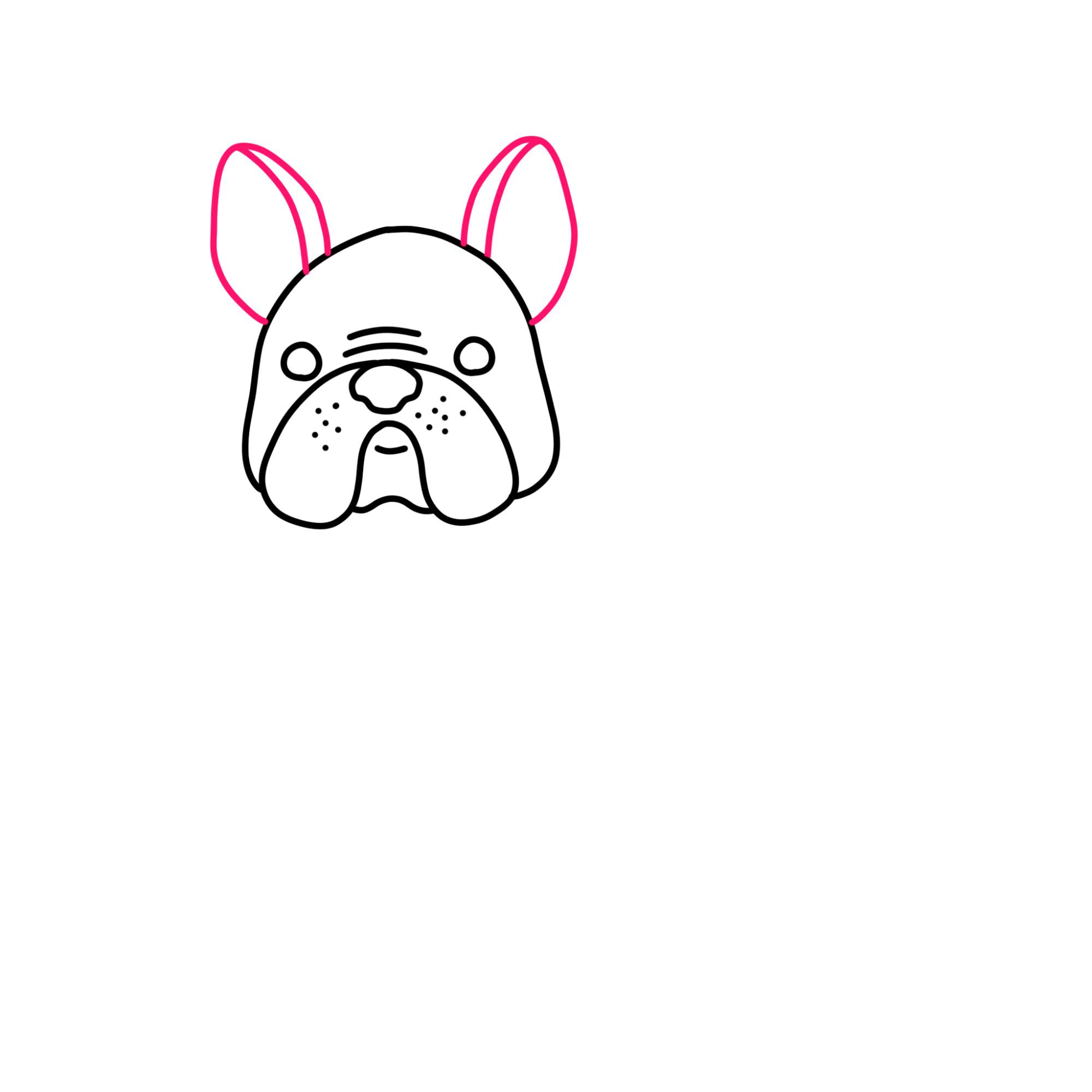 How to Draw a French Bulldog - Step-8