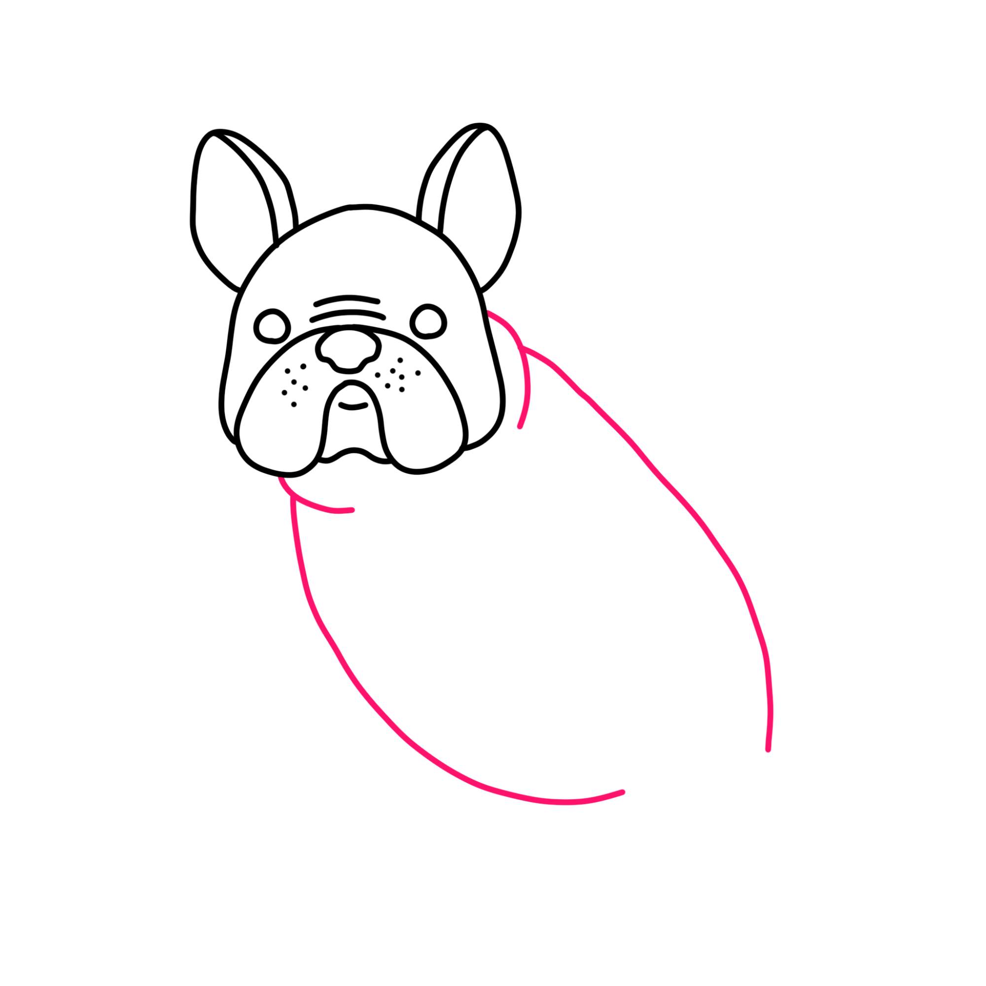 How to Draw a French Bulldog - Step-9