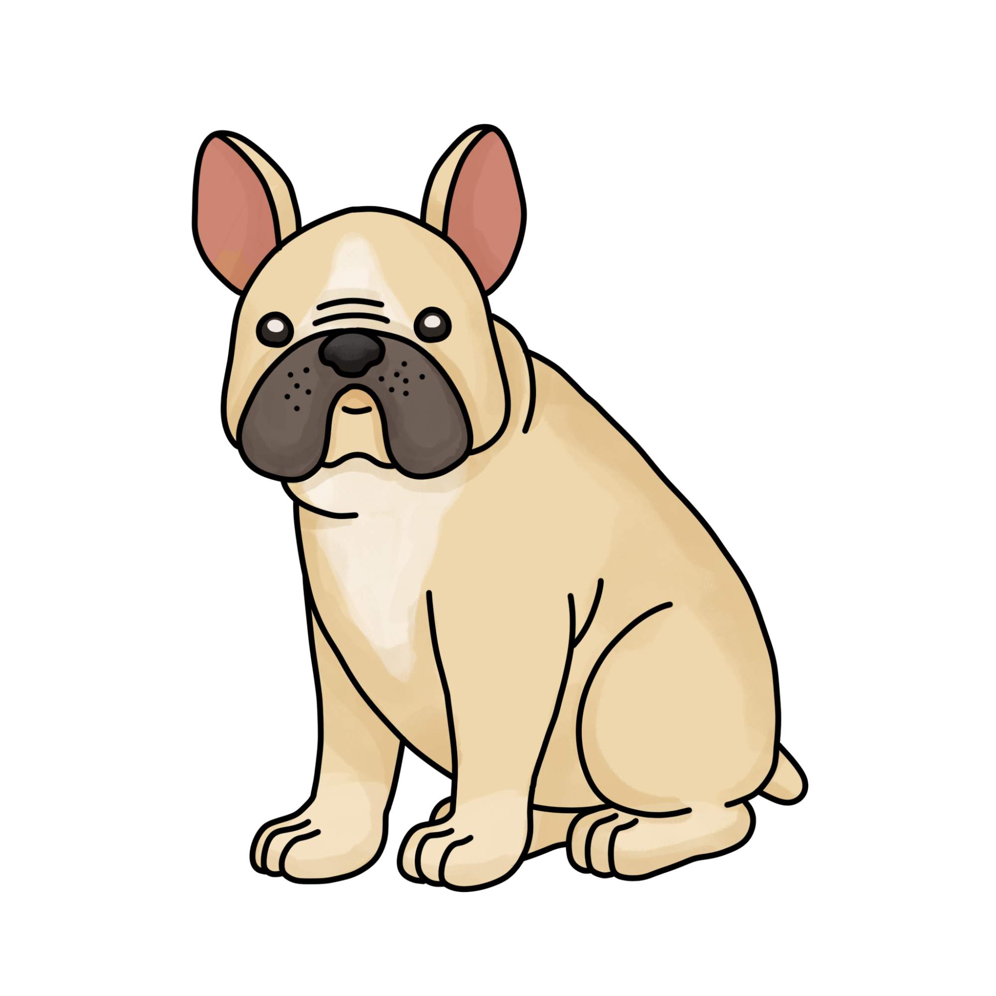 How to Draw a French Bulldog