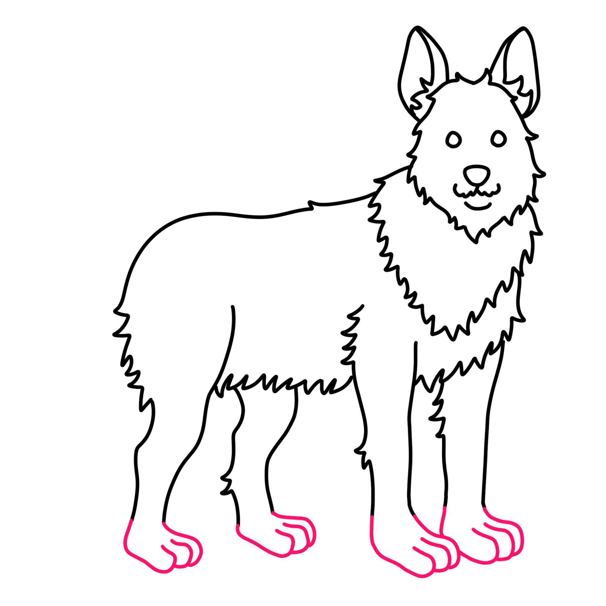 How to Draw a German Shepherd - Step-10