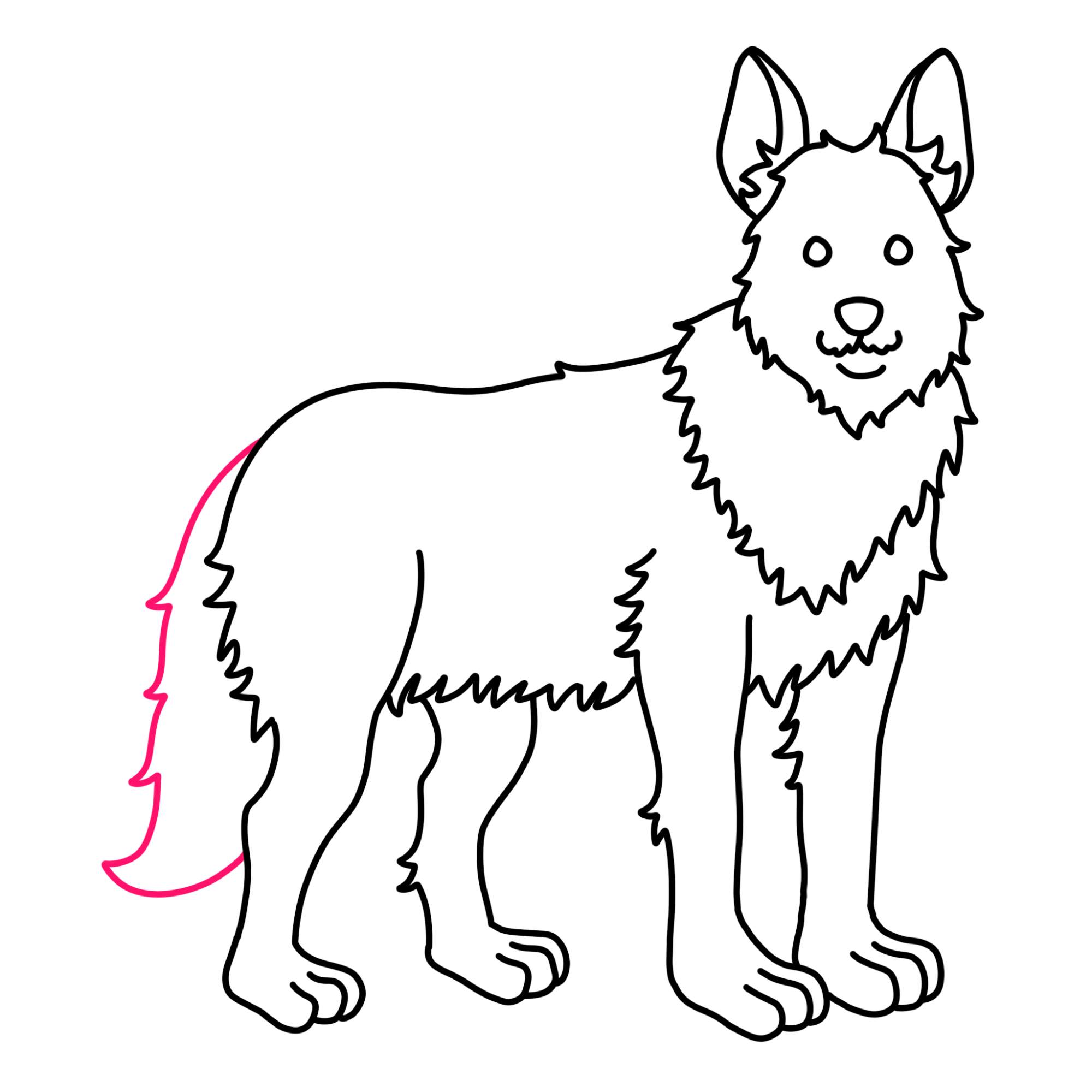 How to Draw a German Shepherd - Step-11