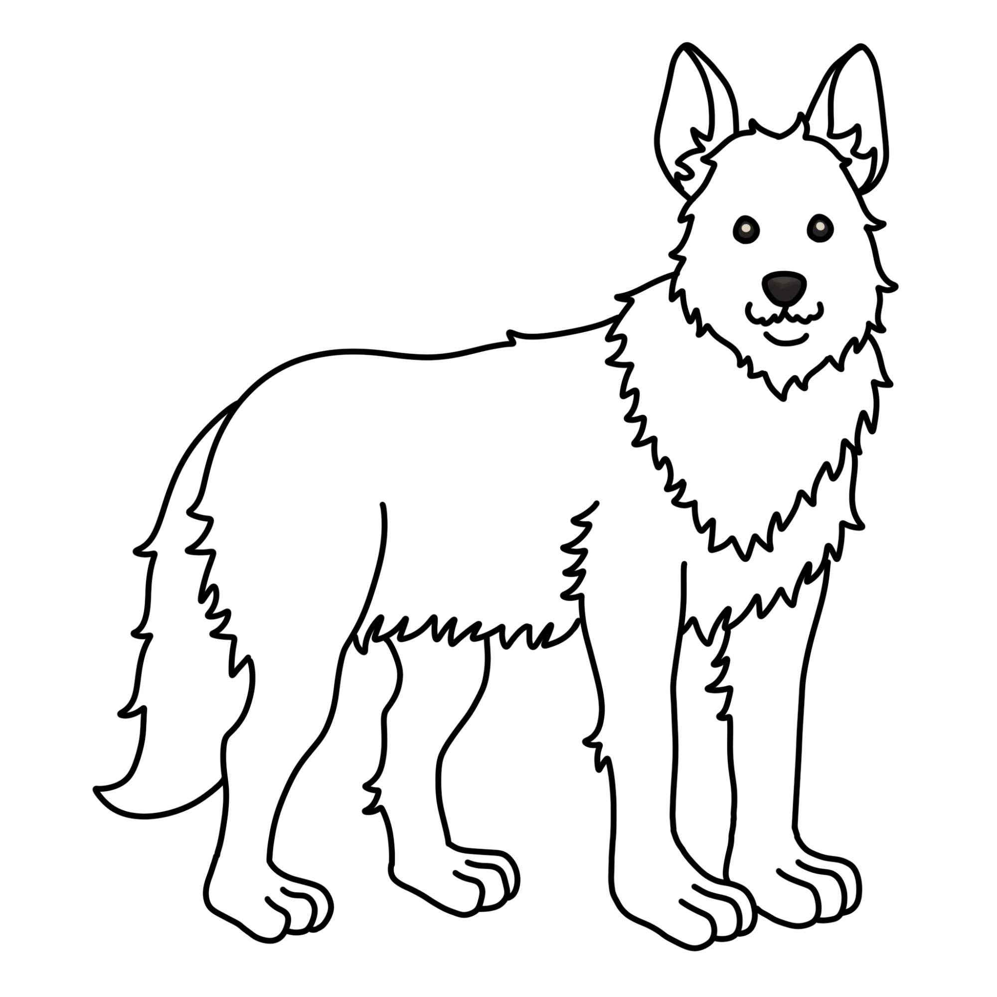 How to Draw a German Shepherd - Step-12