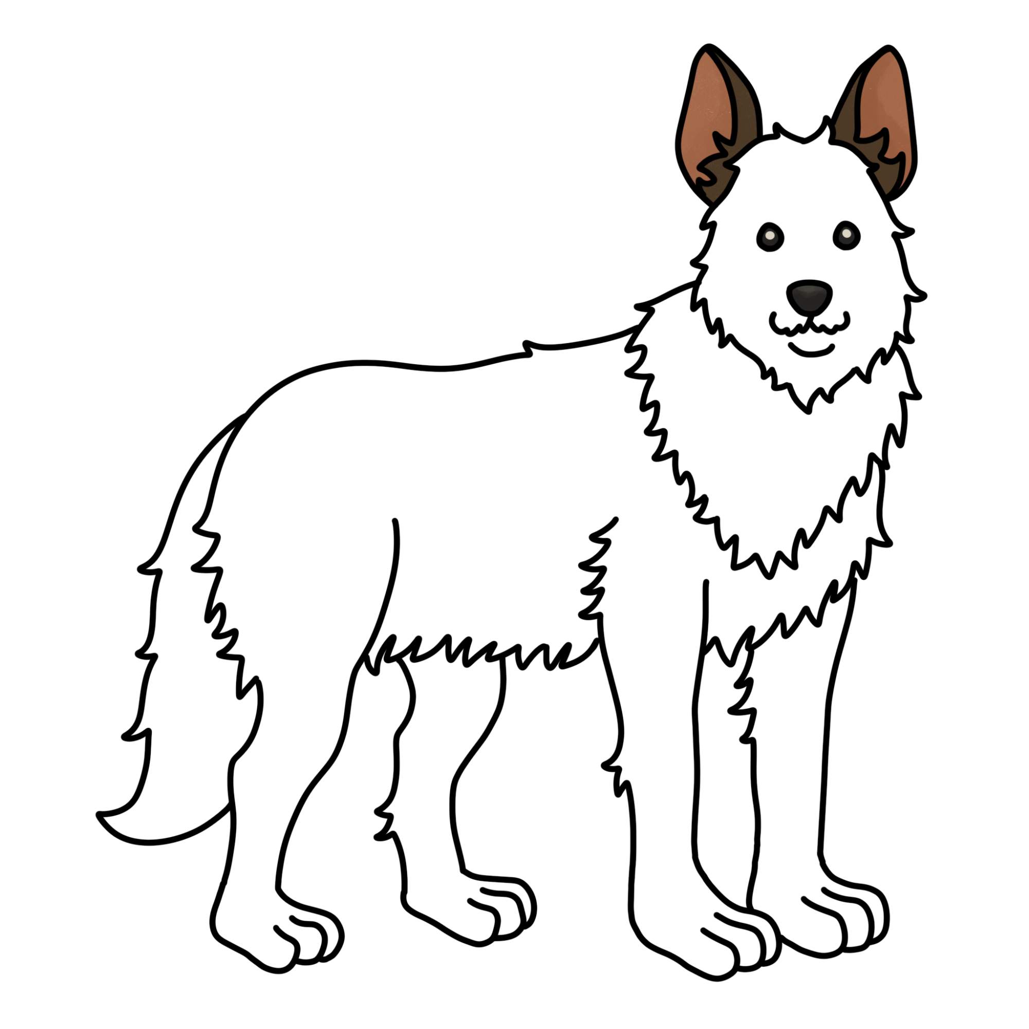 How to Draw a German Shepherd - Step-13