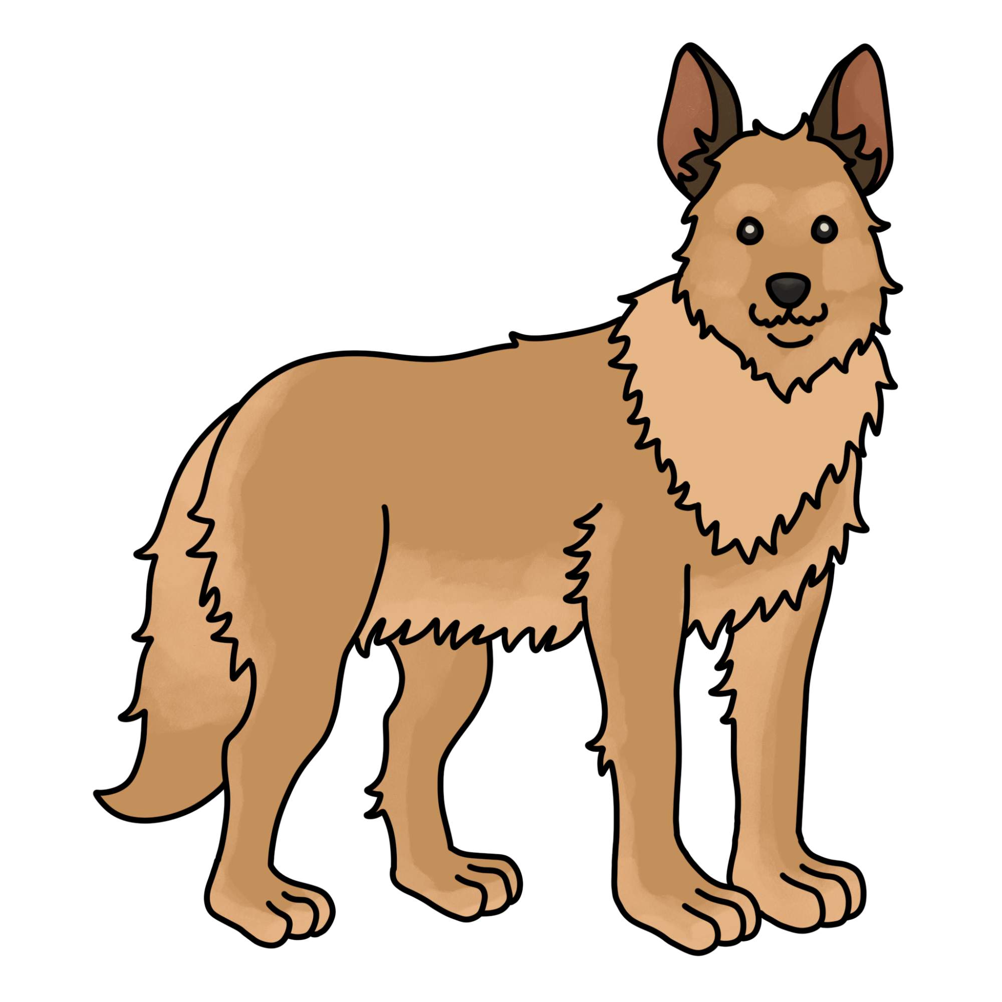 How to Draw a German Shepherd - Step-14