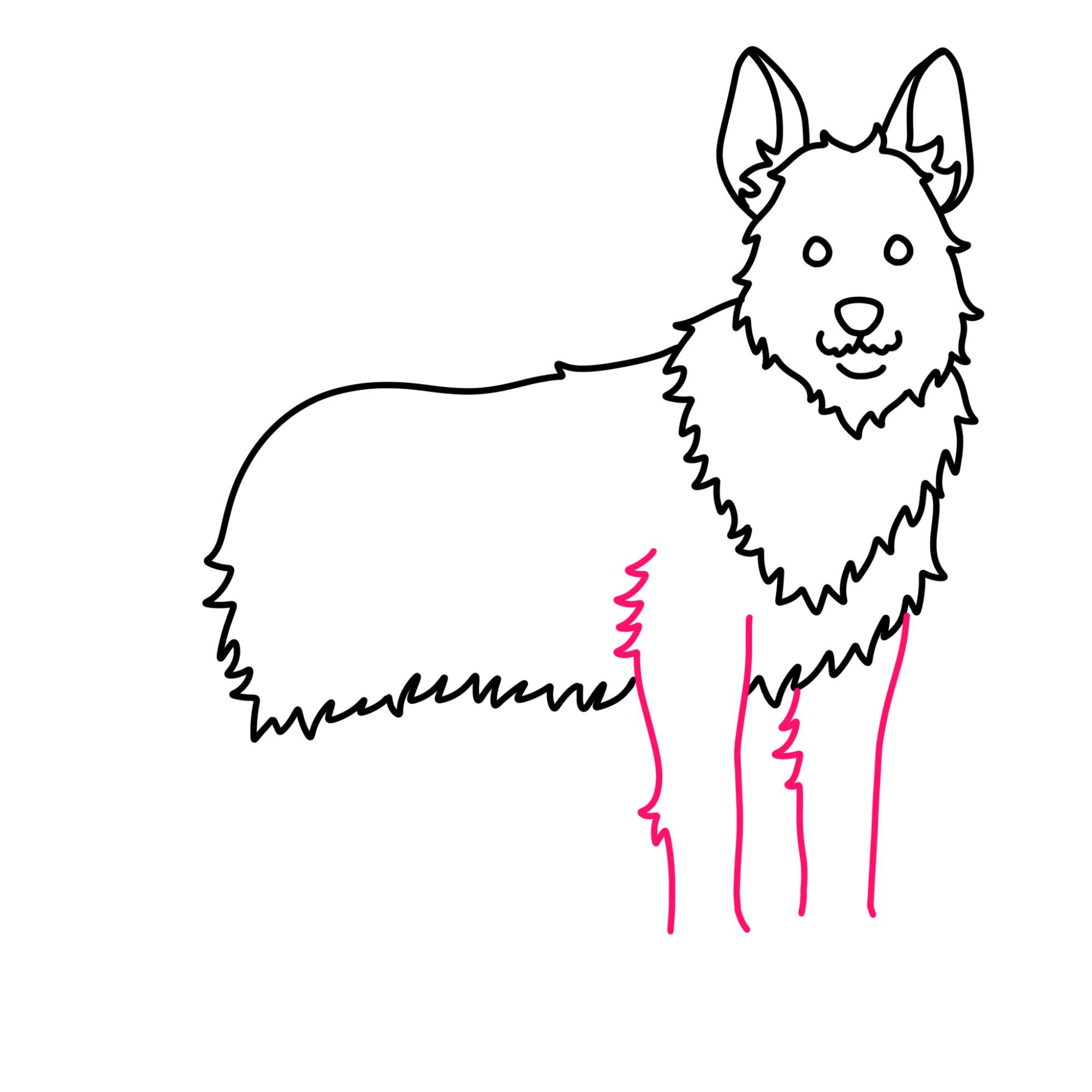 How to Draw a German Shepherd - Step-8