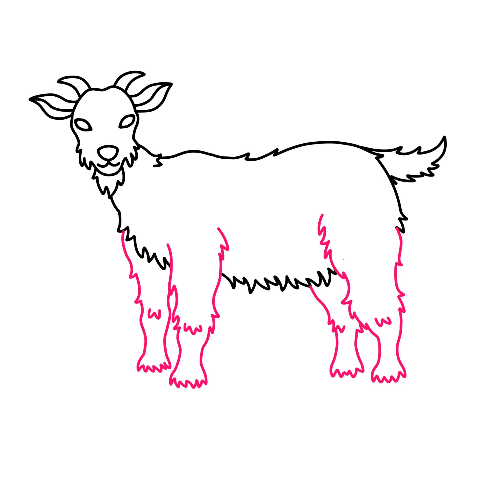 How to Draw a Goat - Step-10