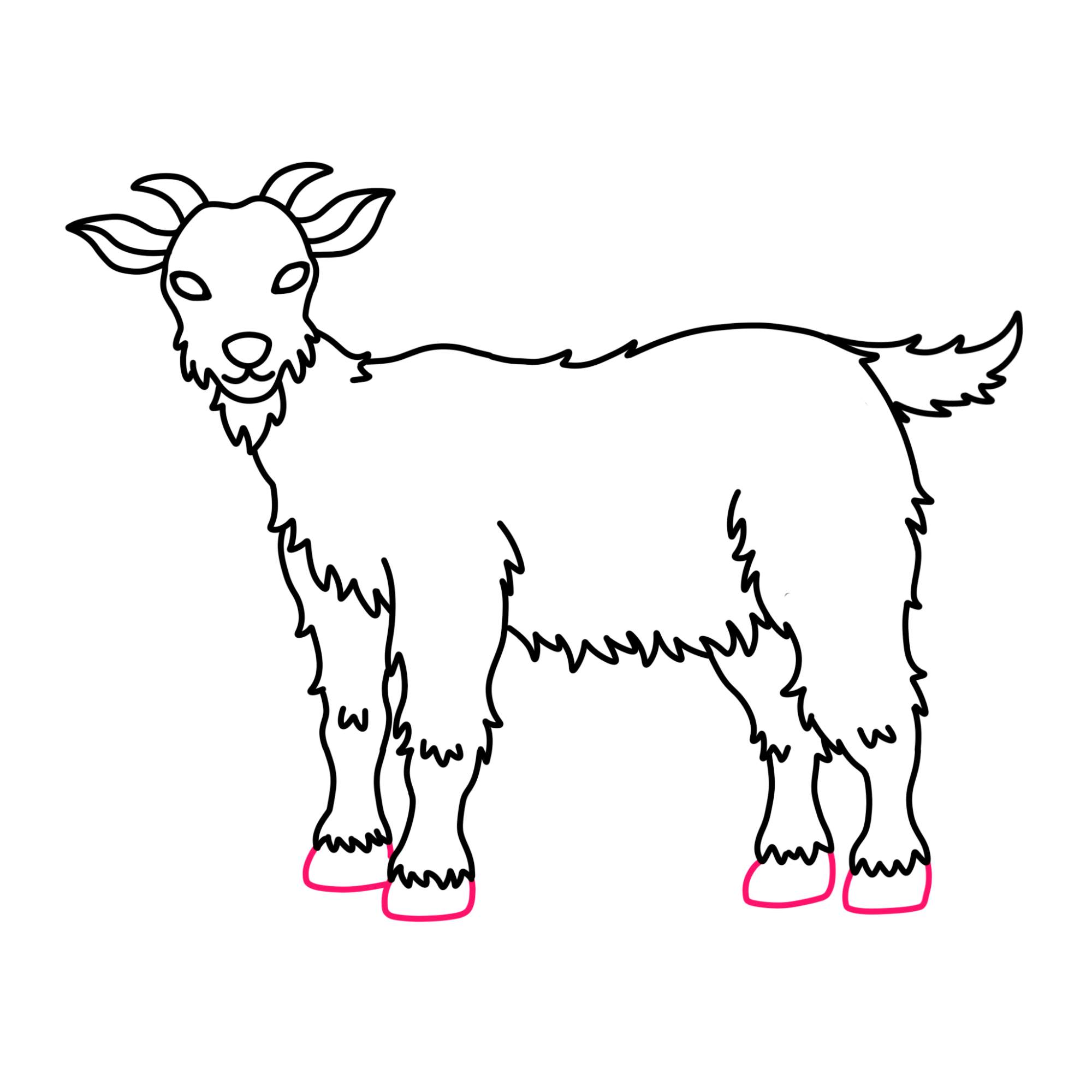 How to Draw a Goat - Step-11