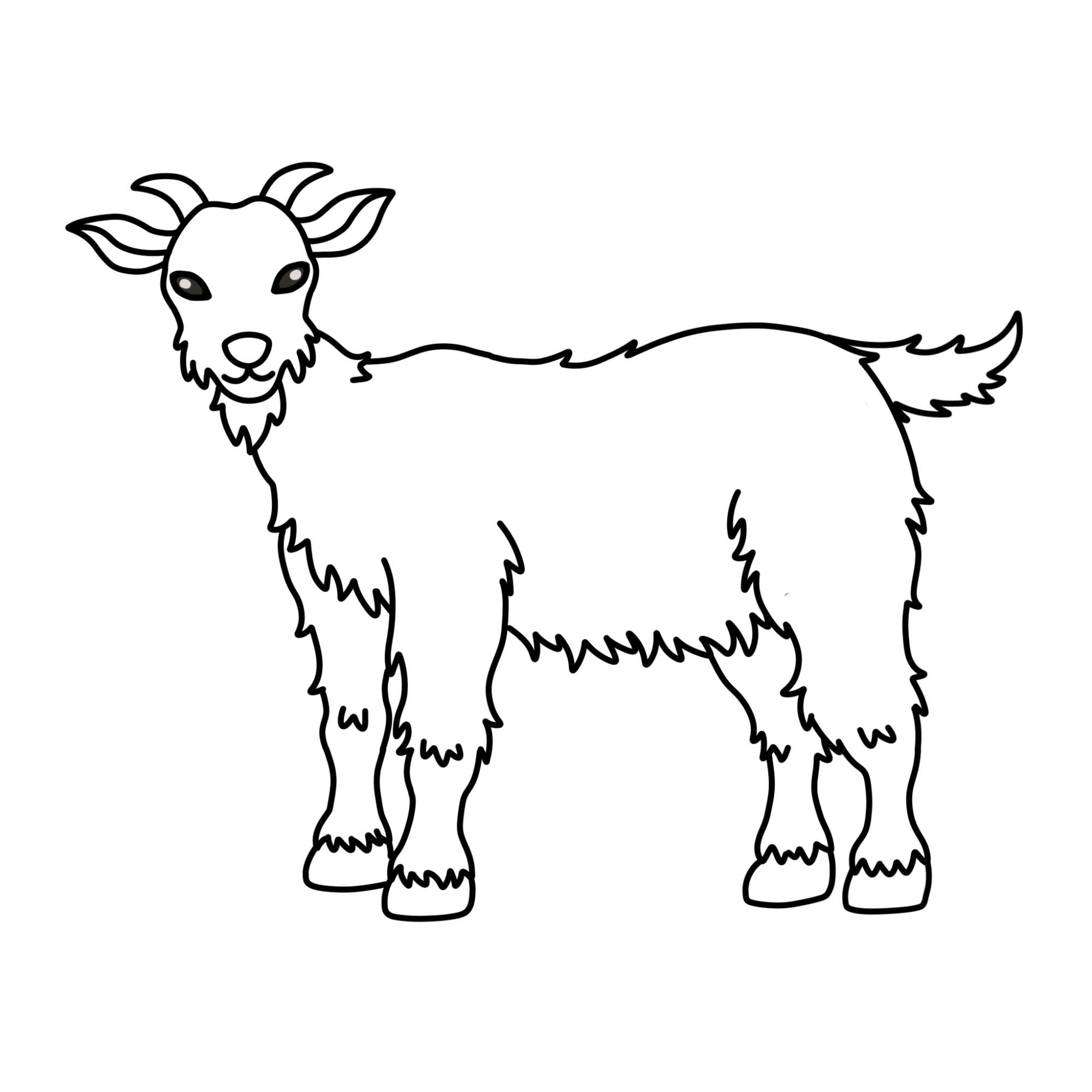 How to Draw a Goat - Step-12