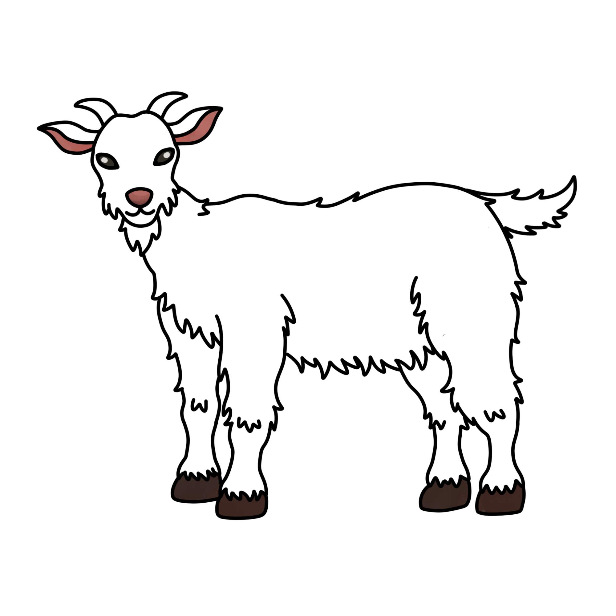 How to Draw a Goat - Step-13