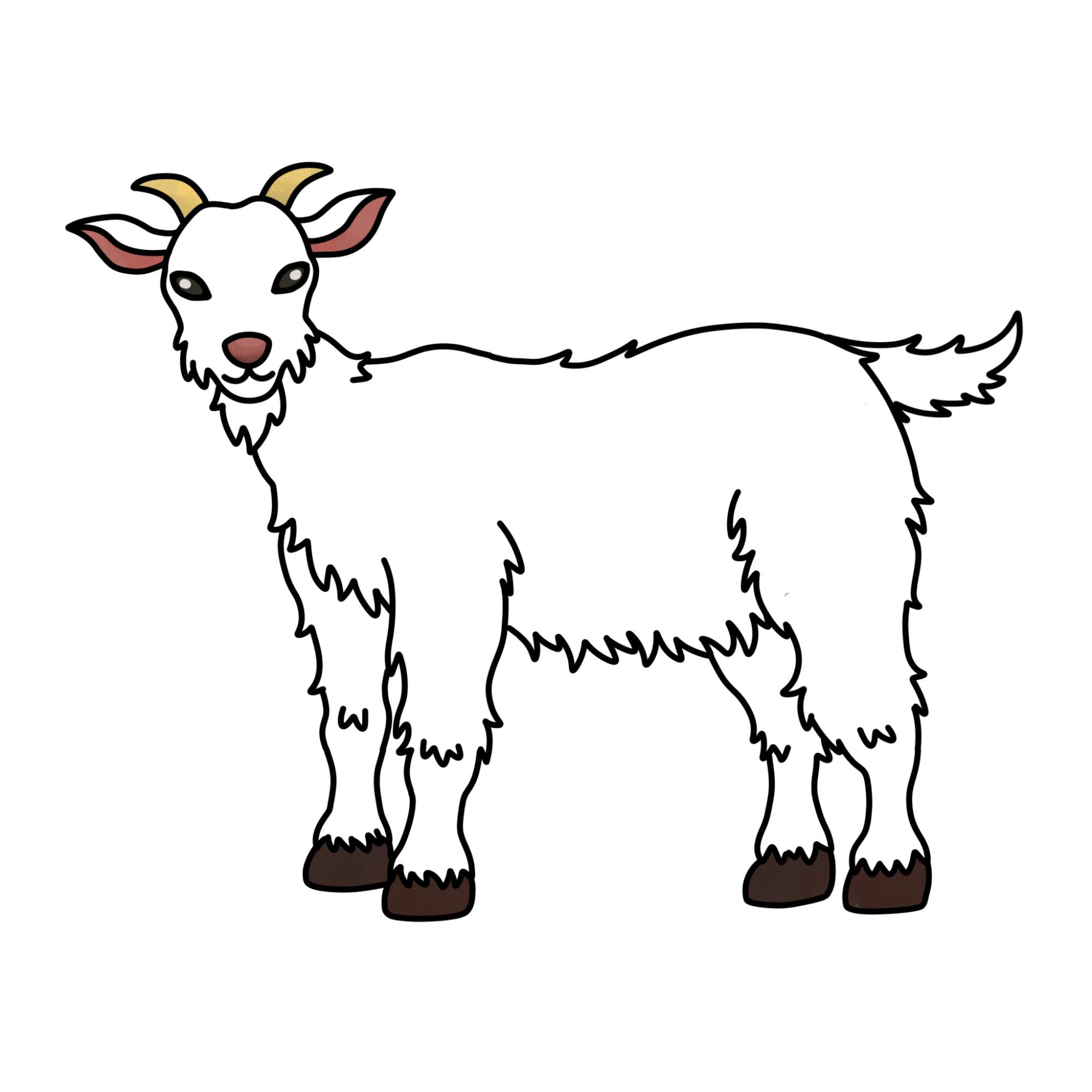 How to Draw a Goat - Step-14