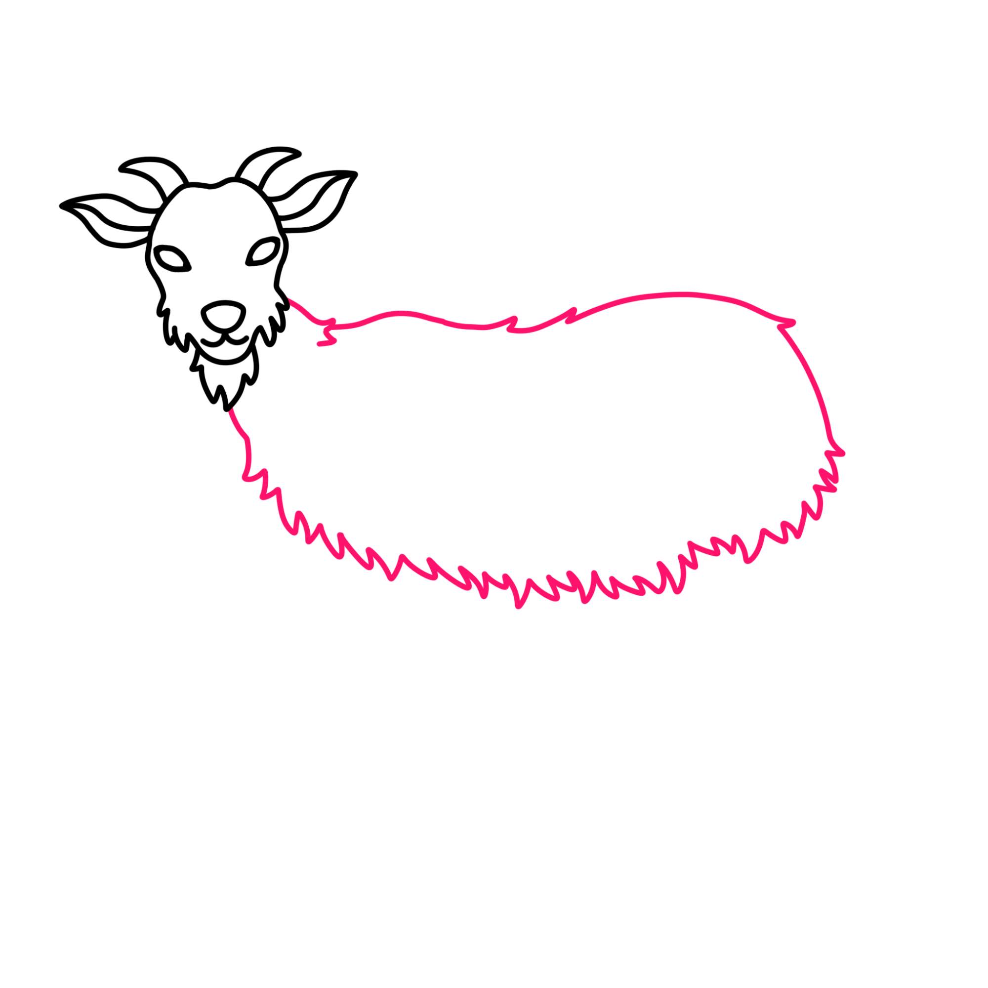 How to Draw a Goat - Step-8