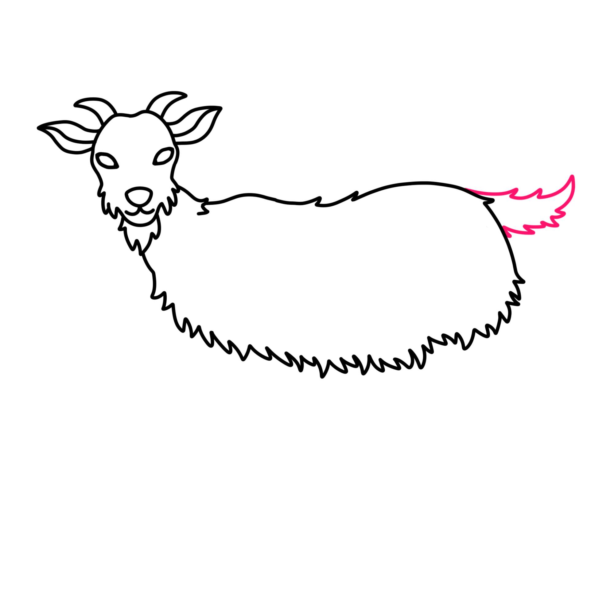 How to Draw a Goat - Step-9