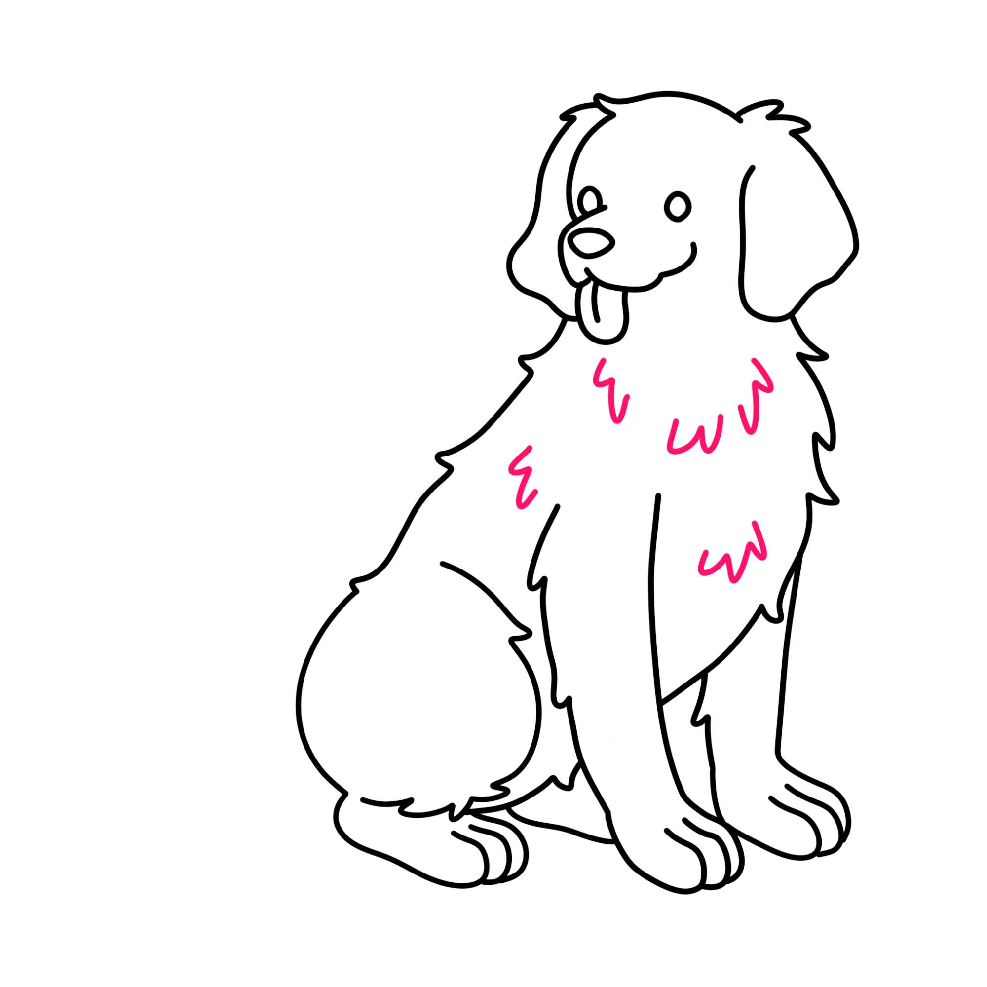 How to Draw a Golden Retriever - Step-10