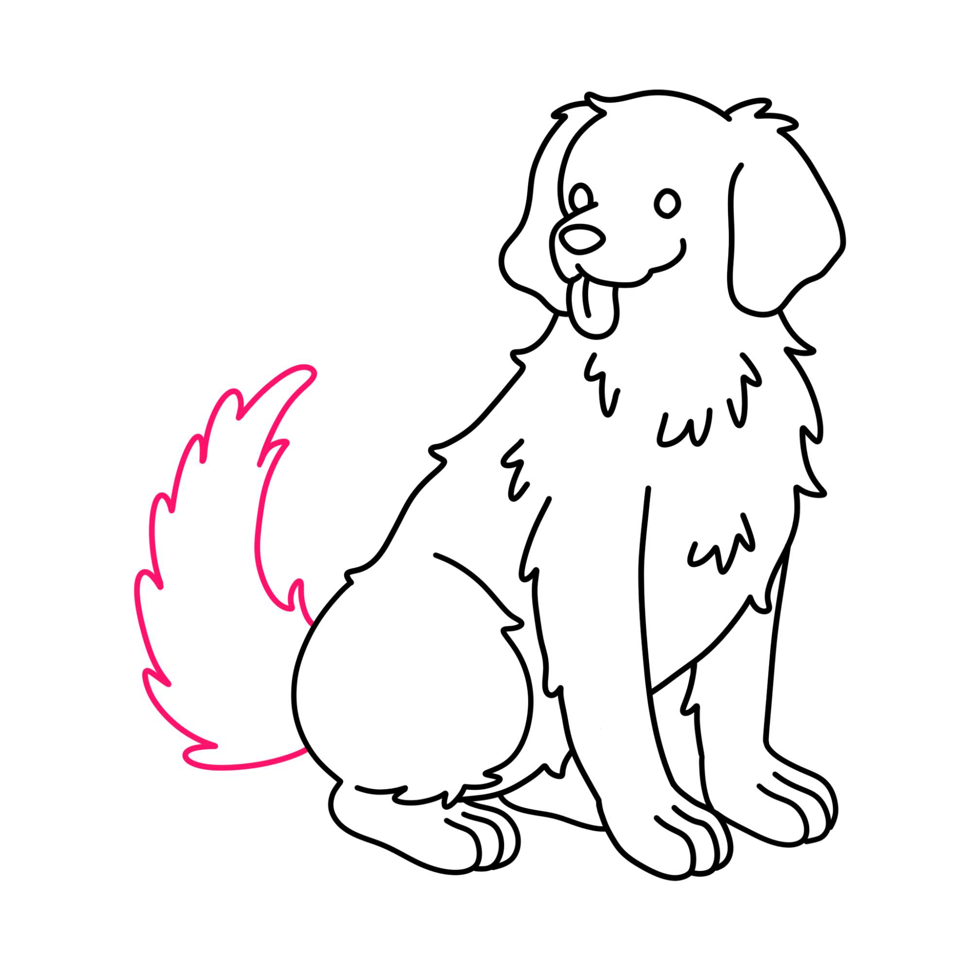 How to Draw a Golden Retriever - Step-11