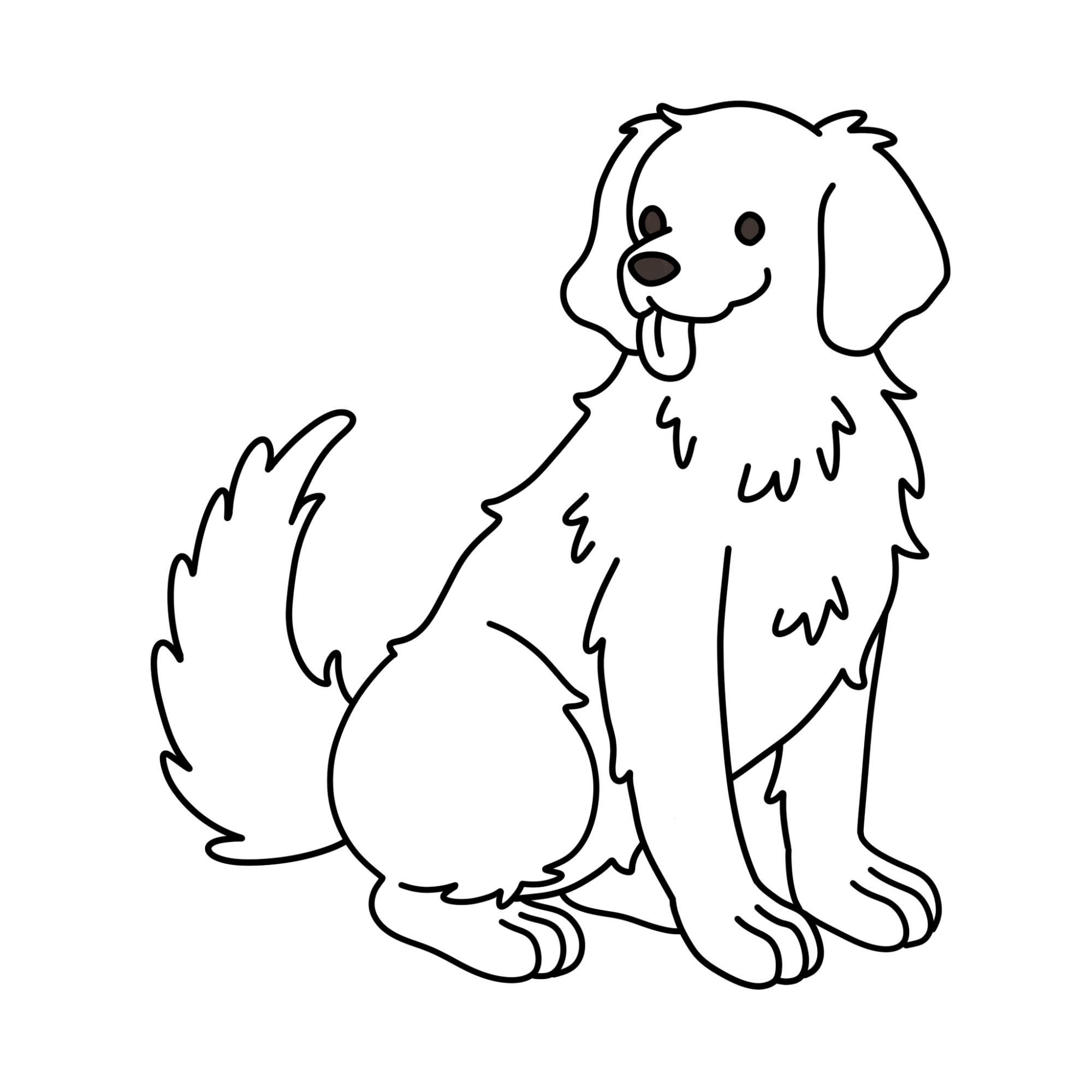 How to Draw a Golden Retriever - Step-12