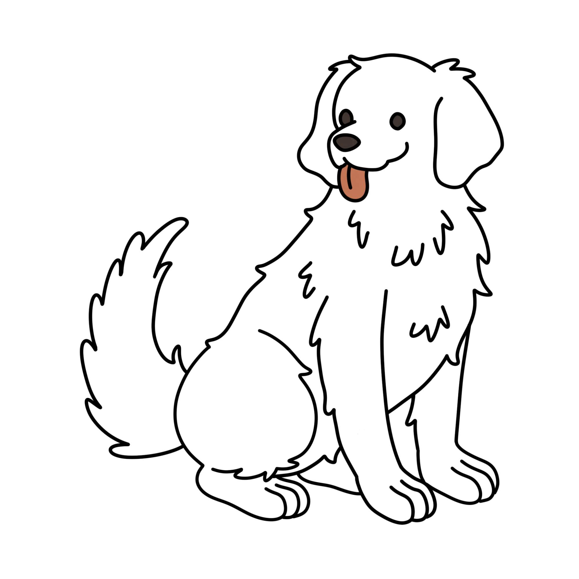 How to Draw a Golden Retriever - Step-13