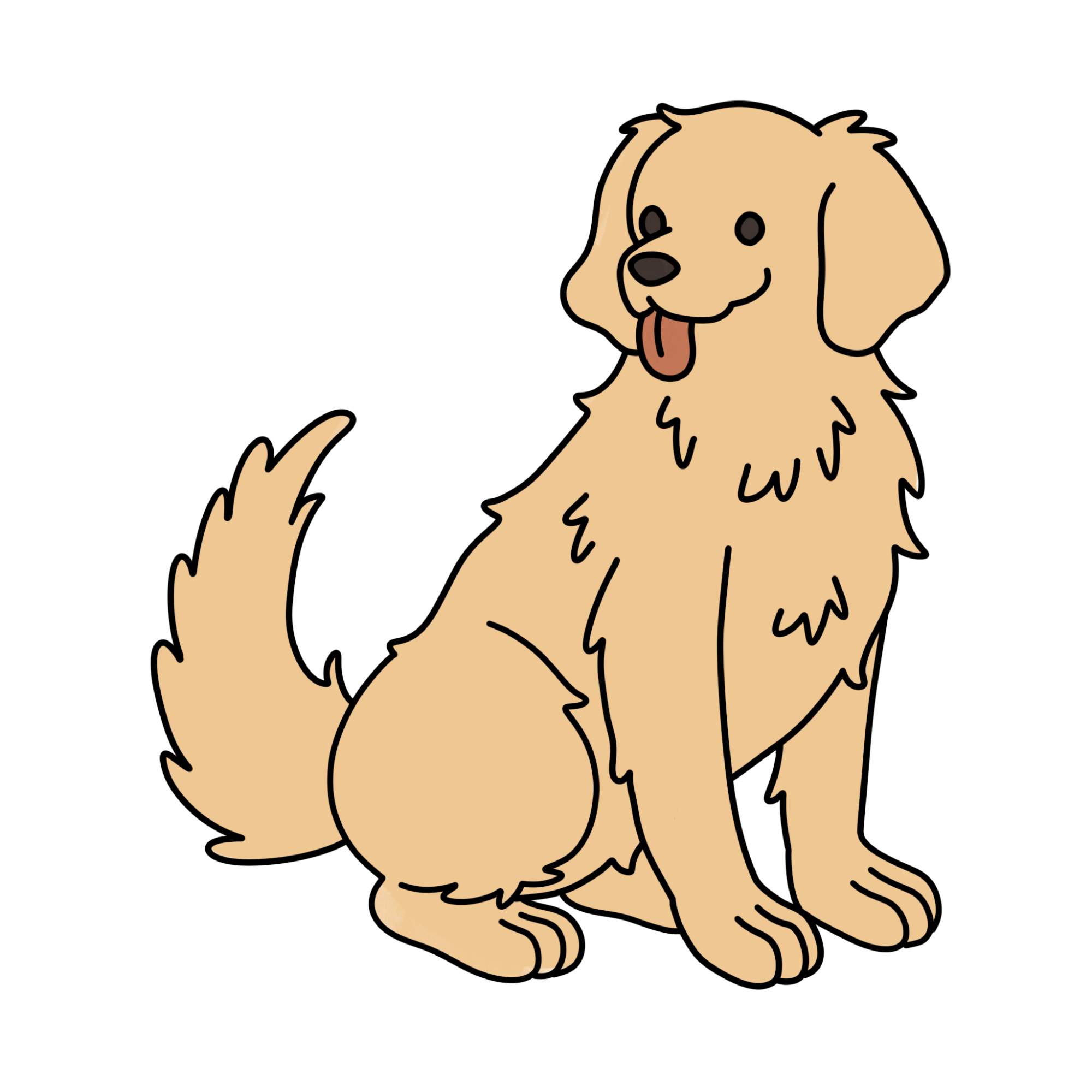 How to Draw a Golden Retriever - Step-14