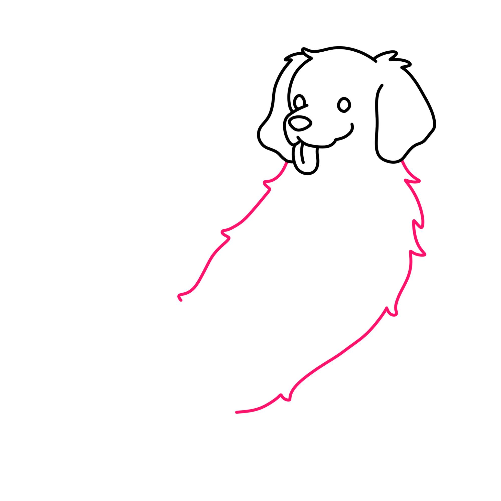 How to Draw a Golden Retriever - Step-6