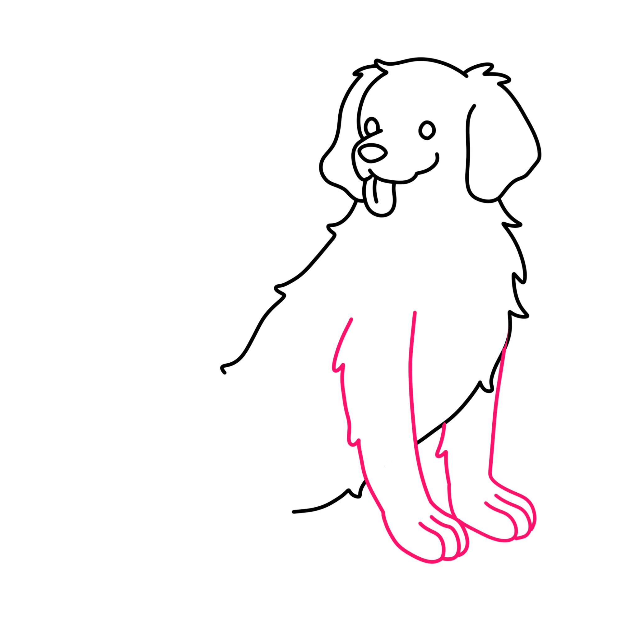 How to Draw a Golden Retriever - Step-7