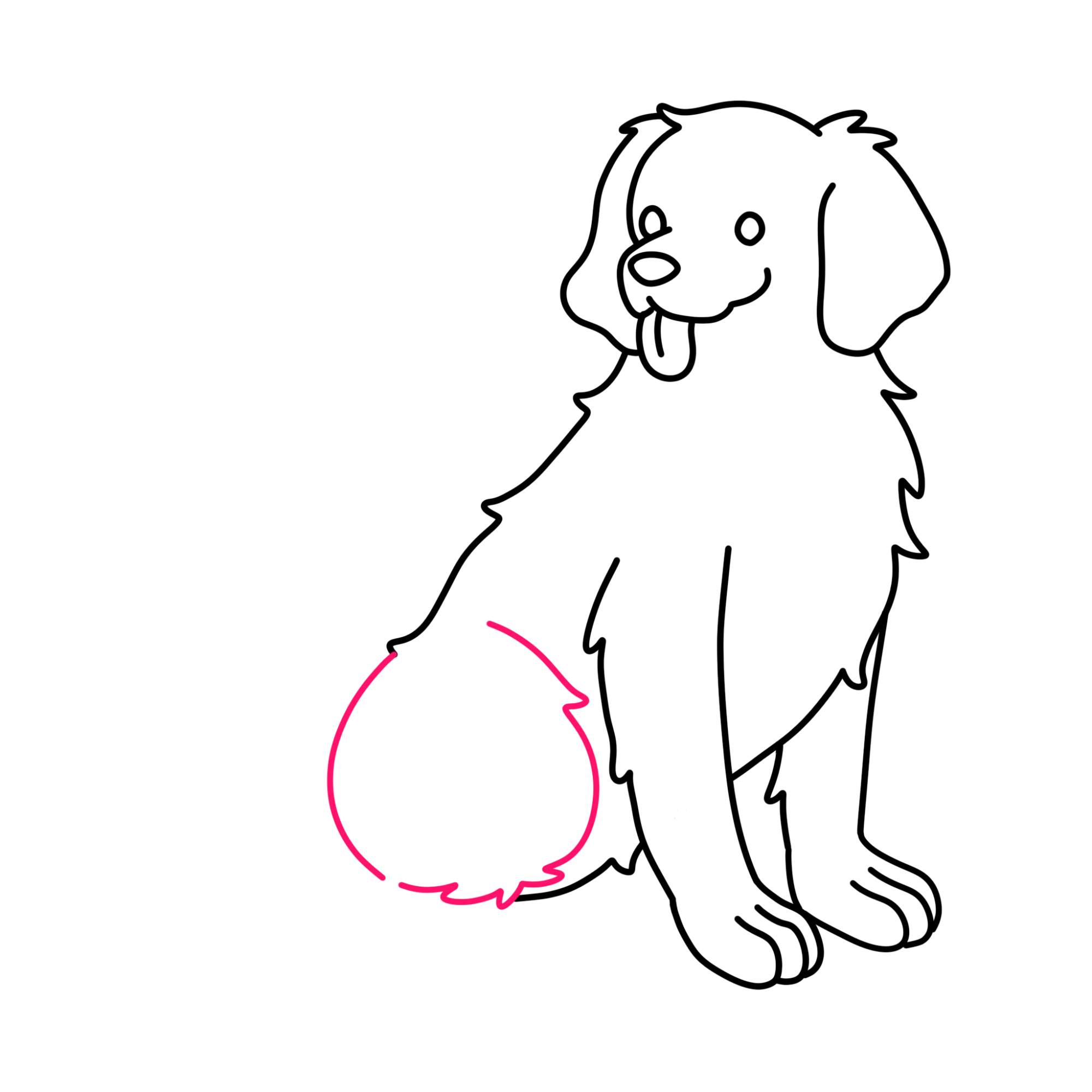 How to Draw a Golden Retriever - Step-8