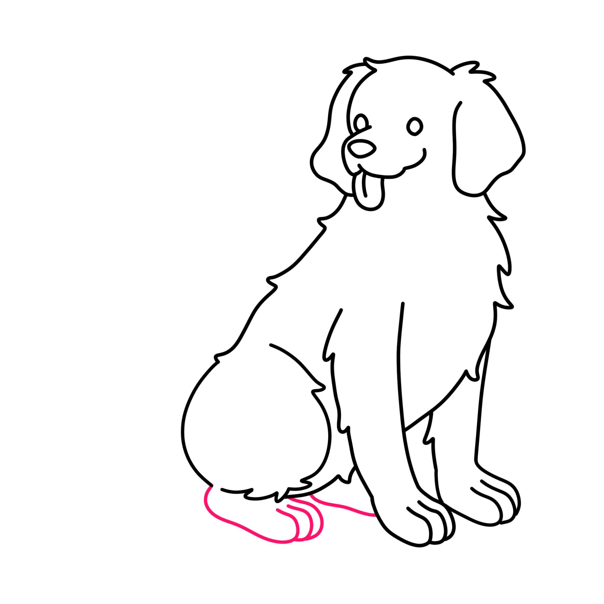 How to Draw a Golden Retriever - Step-9