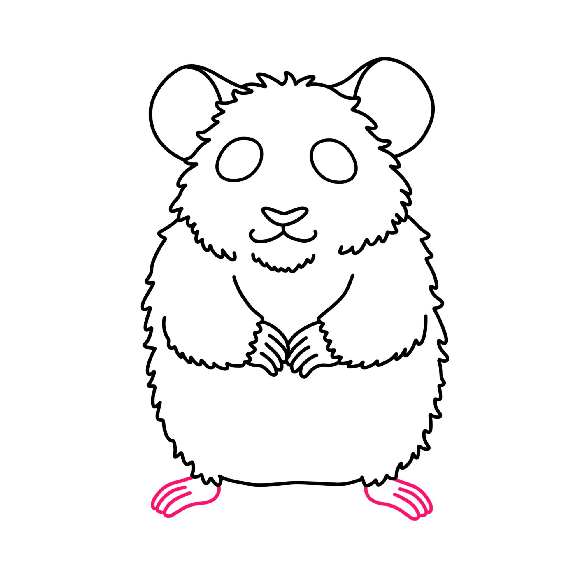 How to Draw a Hamster - Step-10