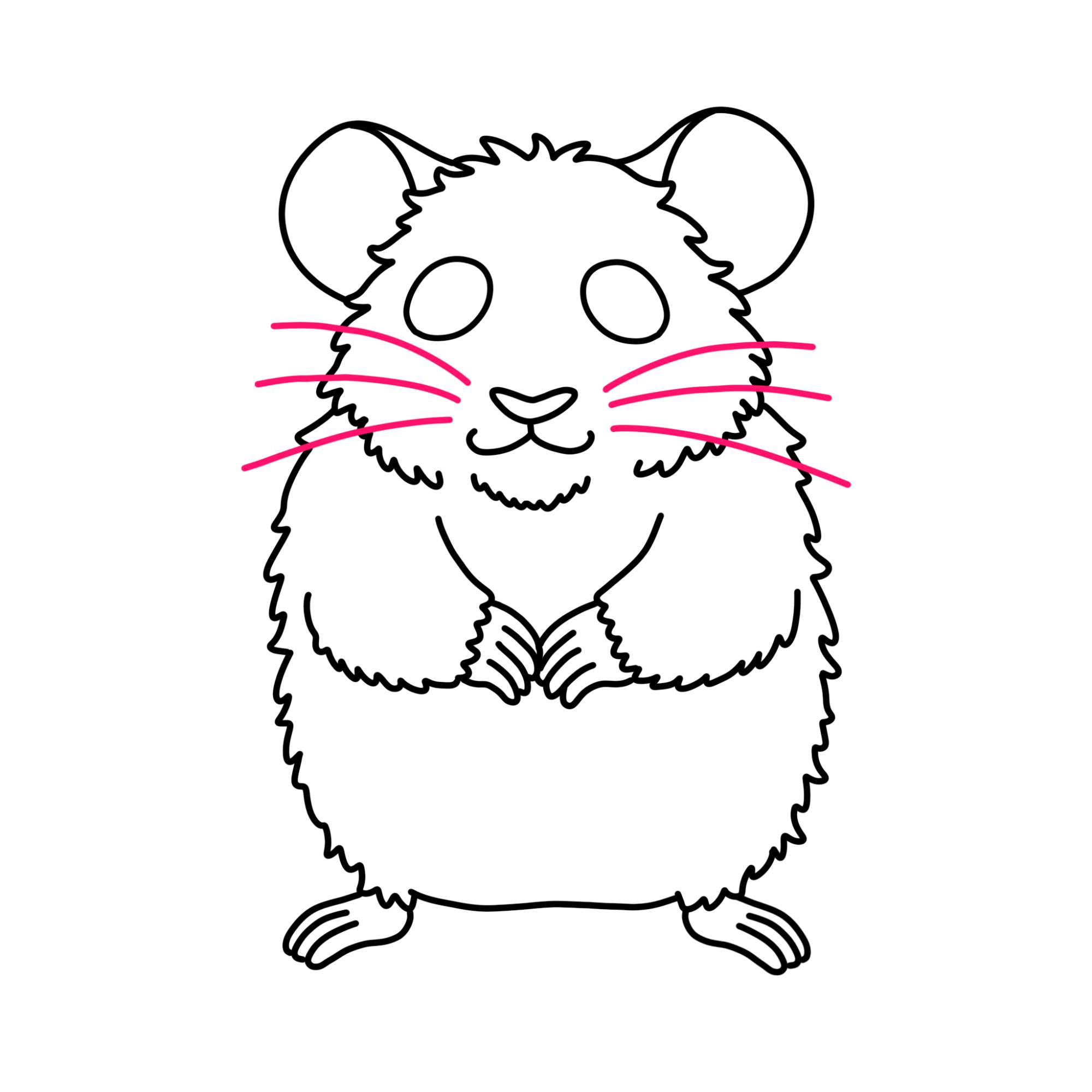 How to Draw a Hamster - Step-11