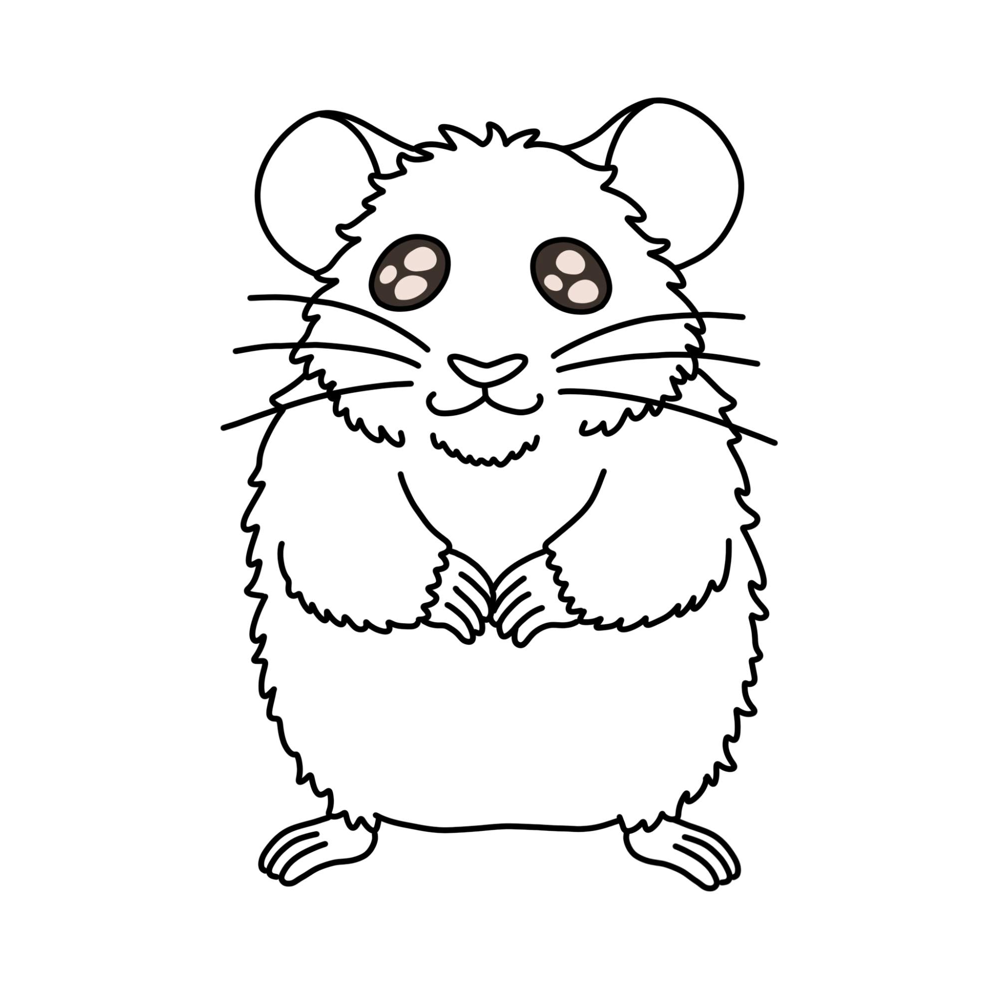 How to Draw a Hamster - Step-12