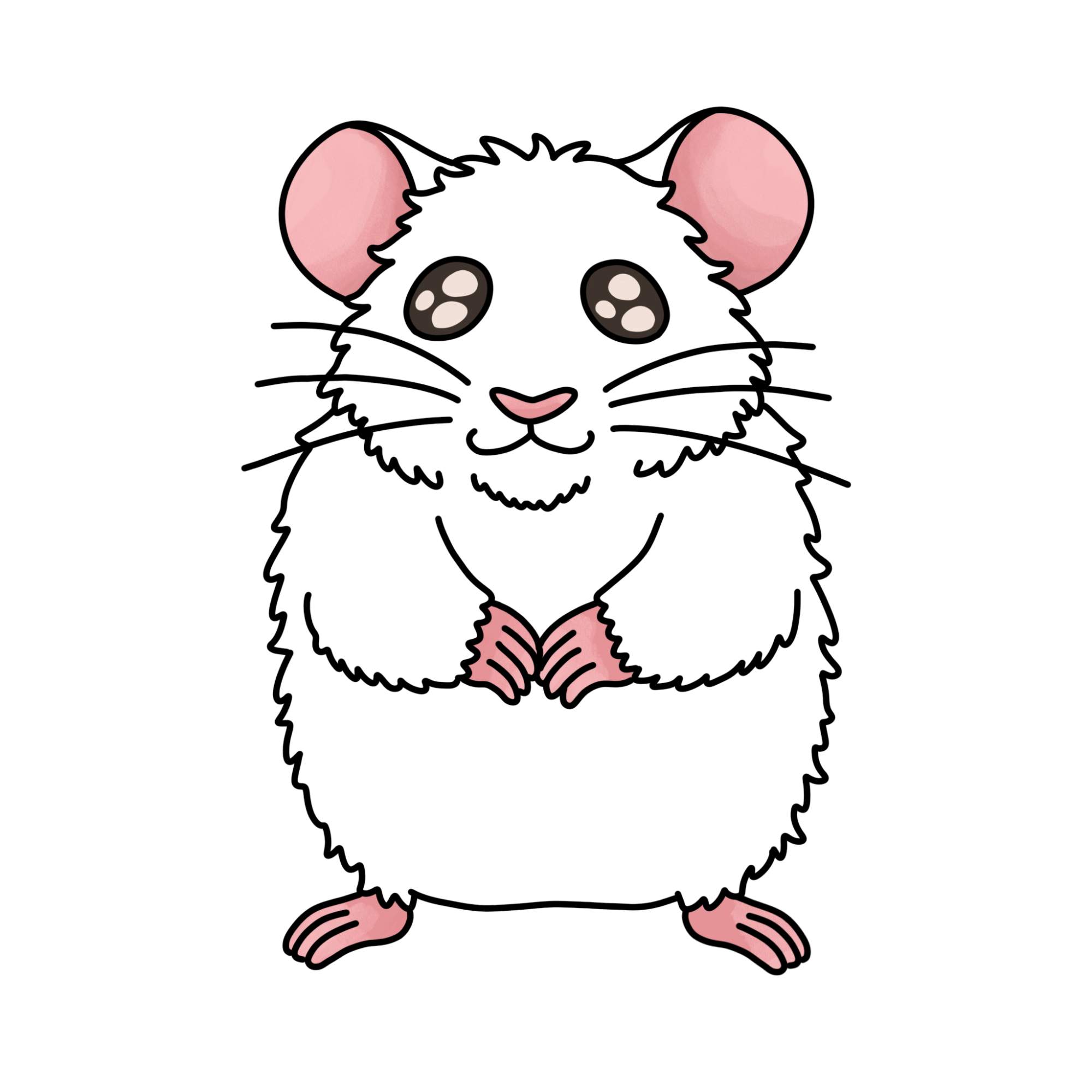 How to Draw a Hamster - Step-13