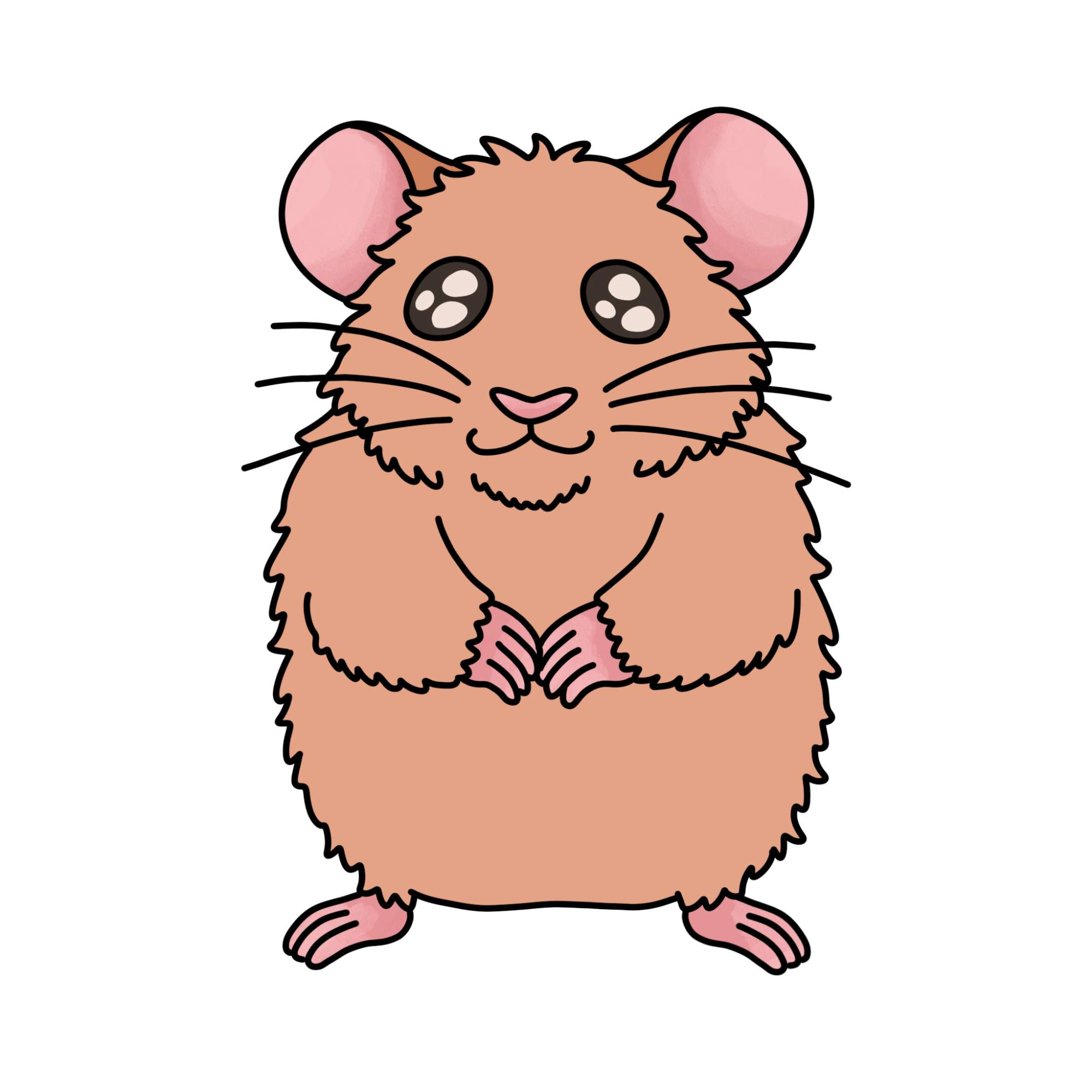 How to Draw a Hamster - Step-14