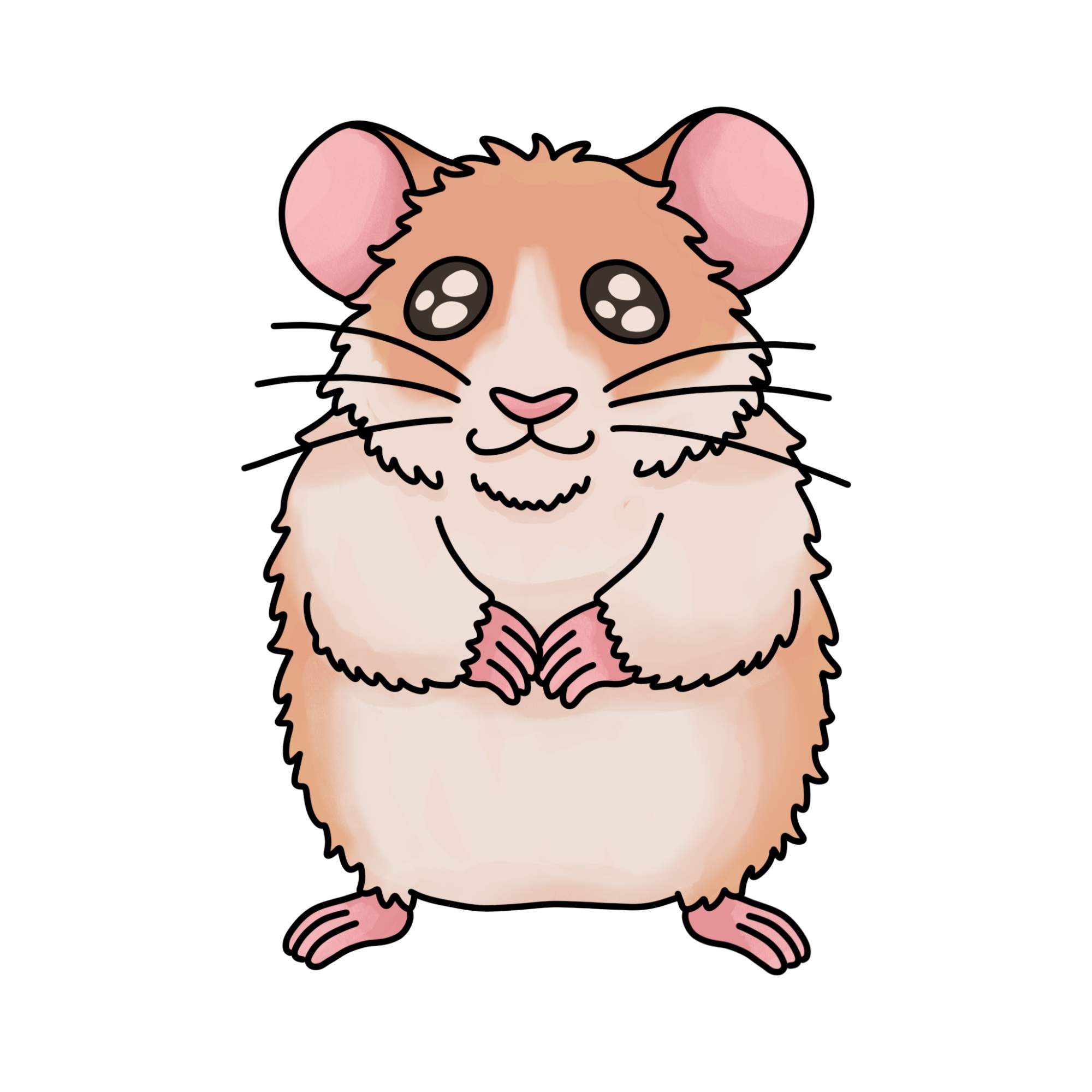 How to Draw a Hamster - Step-15