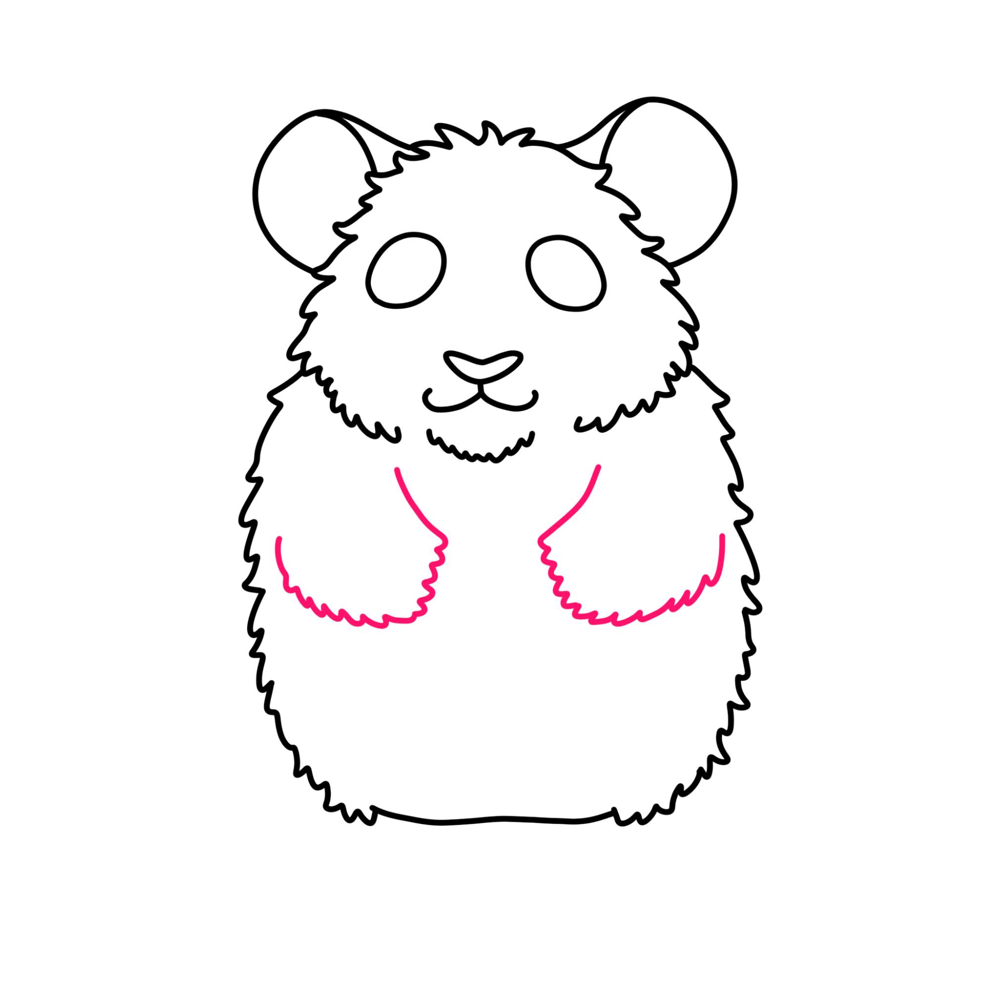 How to Draw a Hamster - Step-8