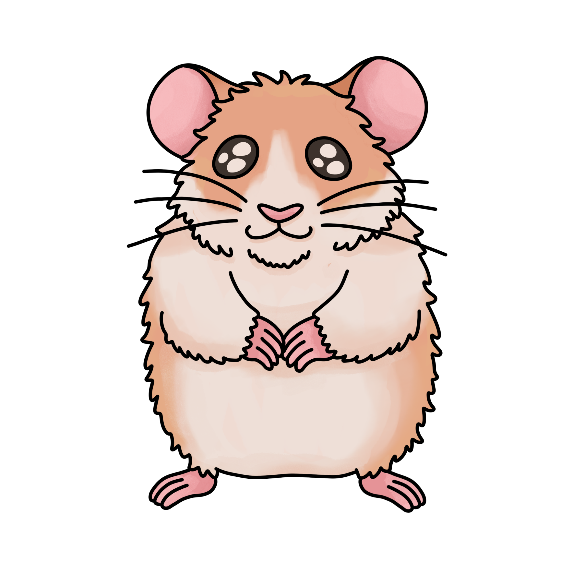 How to Draw a Hamster