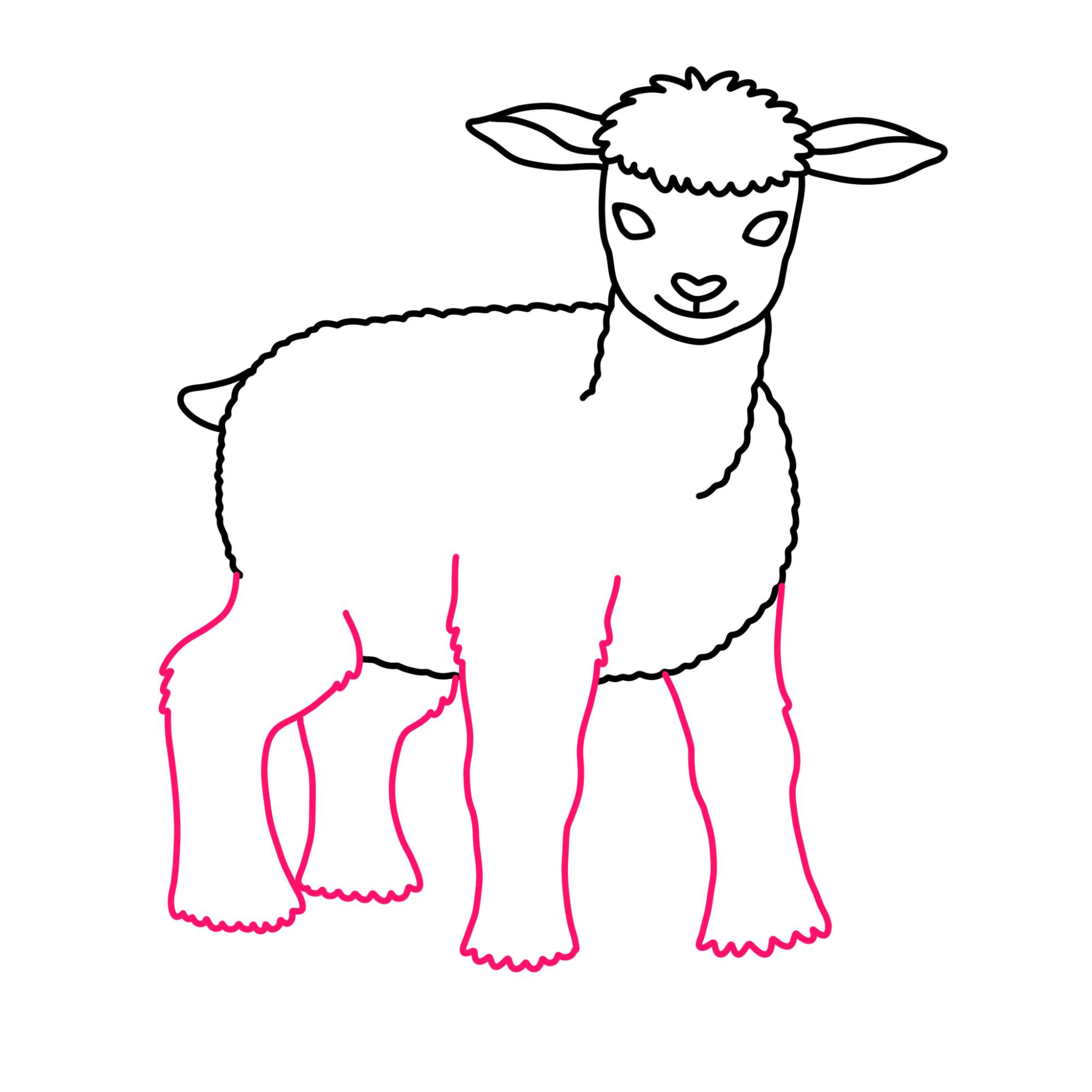 How to Draw a Lamb - Step-10