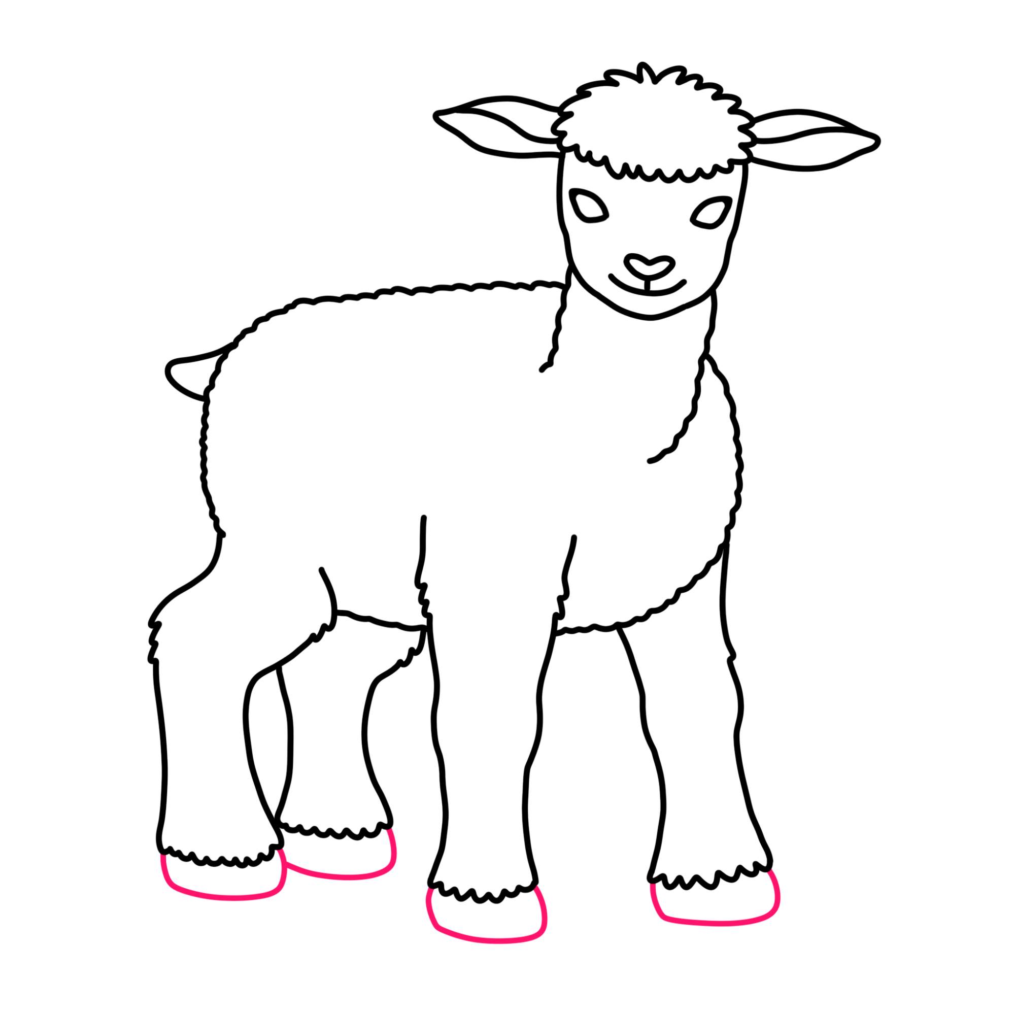 How to Draw a Lamb - Step-11