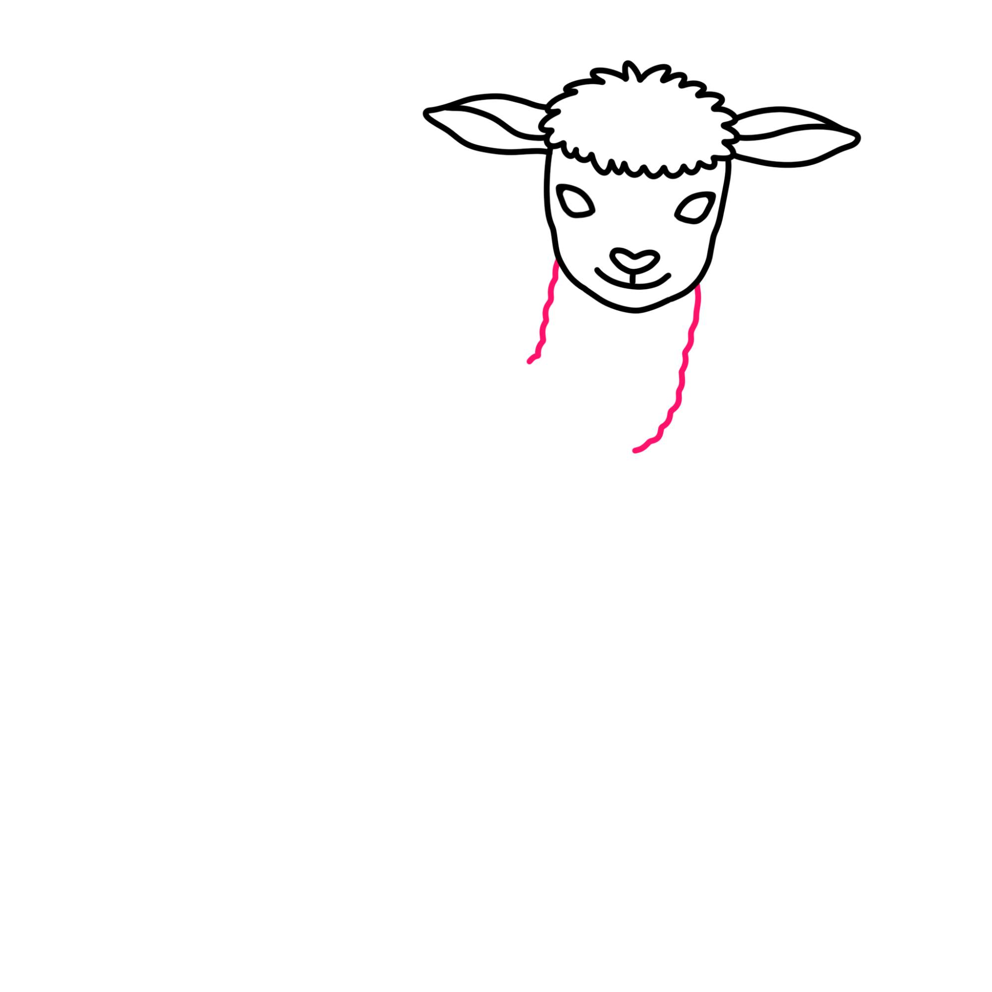 How to Draw a Lamb - Step-7