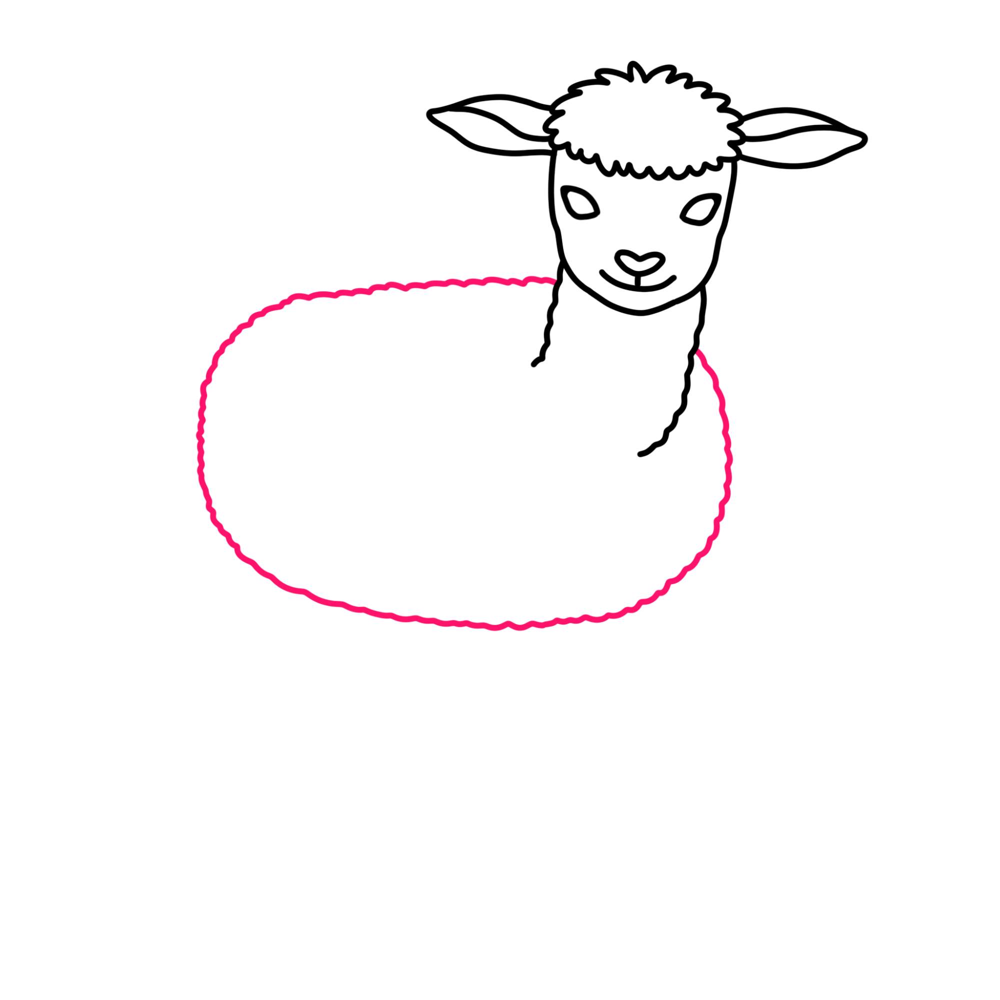 How to Draw a Lamb - Step-8