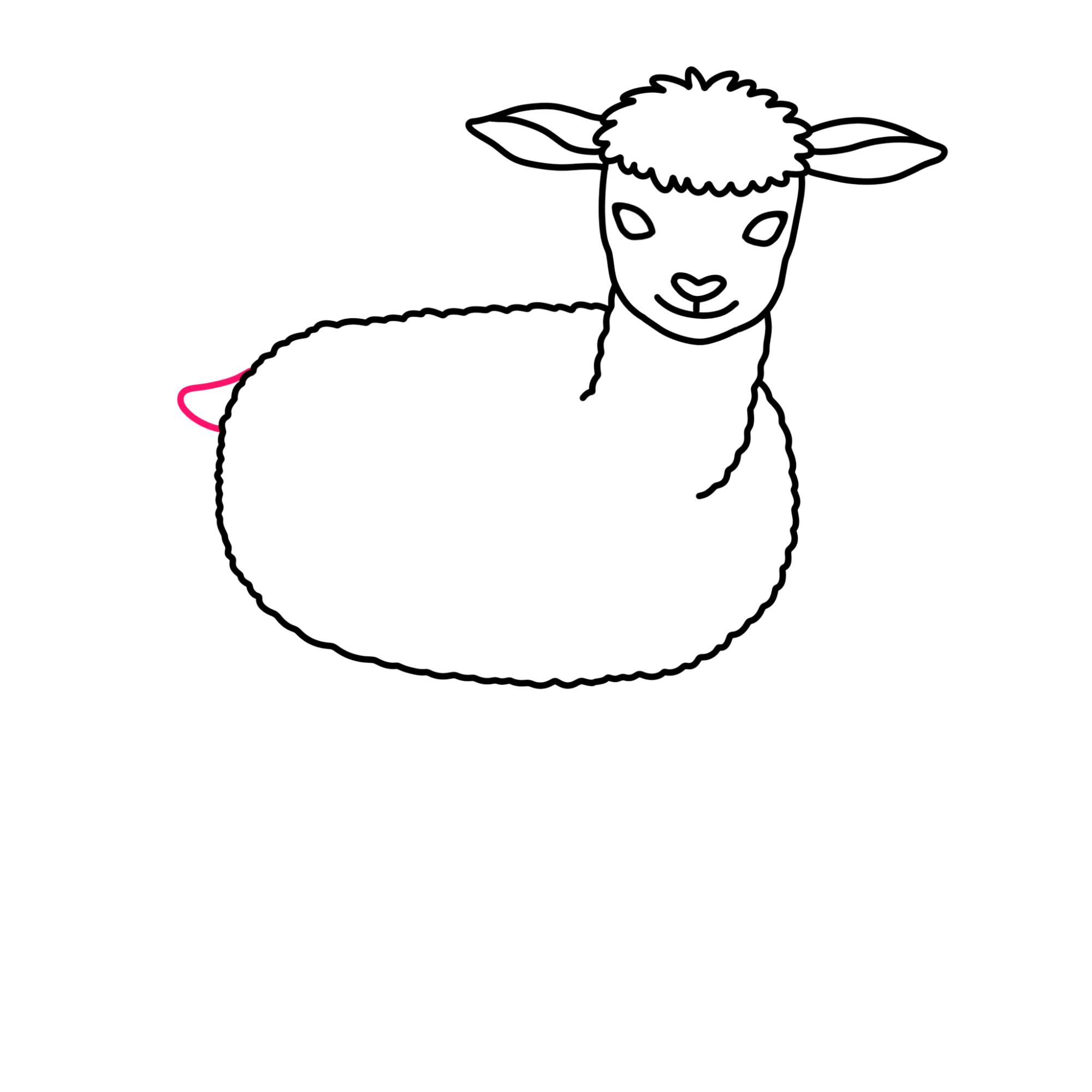 How to Draw a Lamb - Step-9