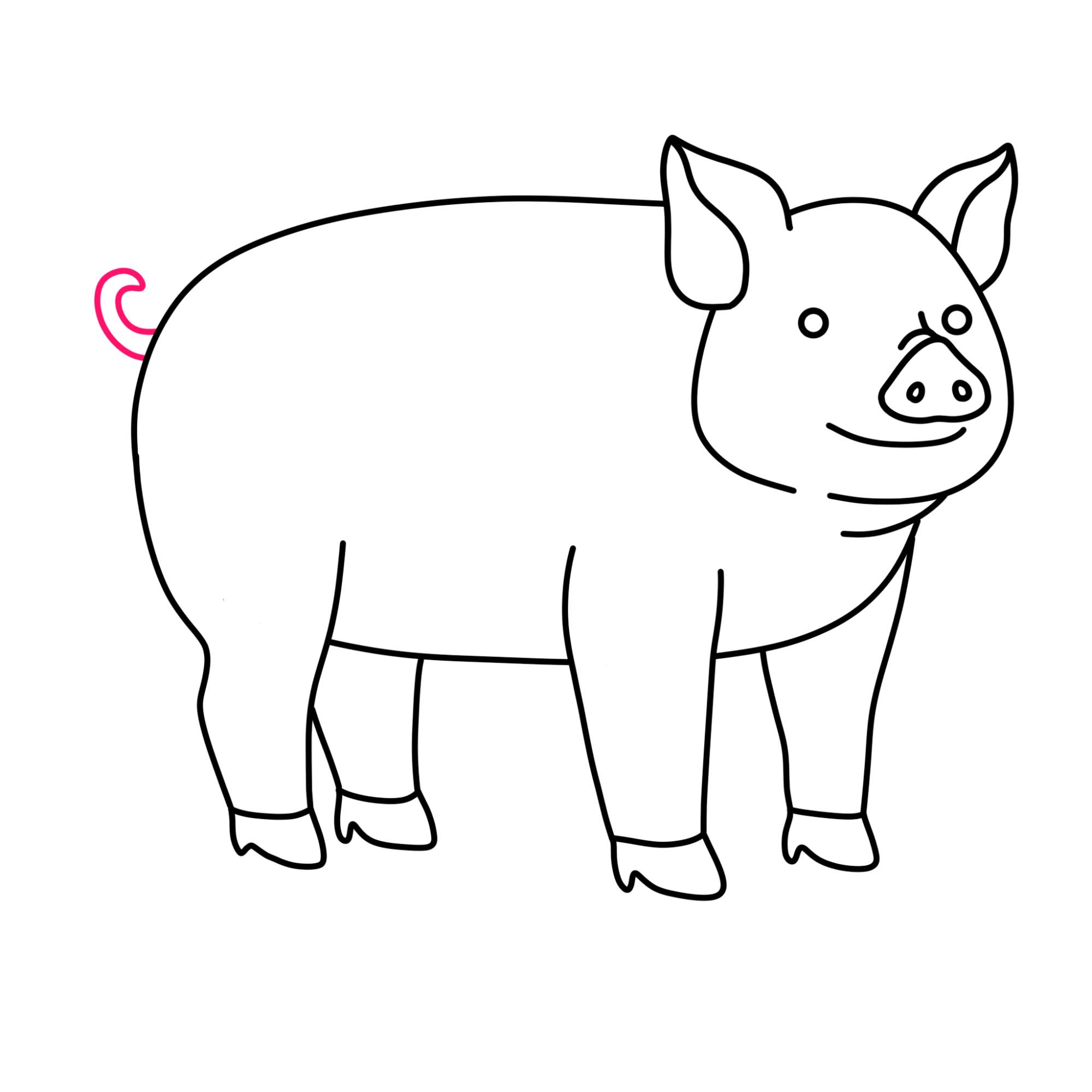 How to Draw a Pig - Step-10