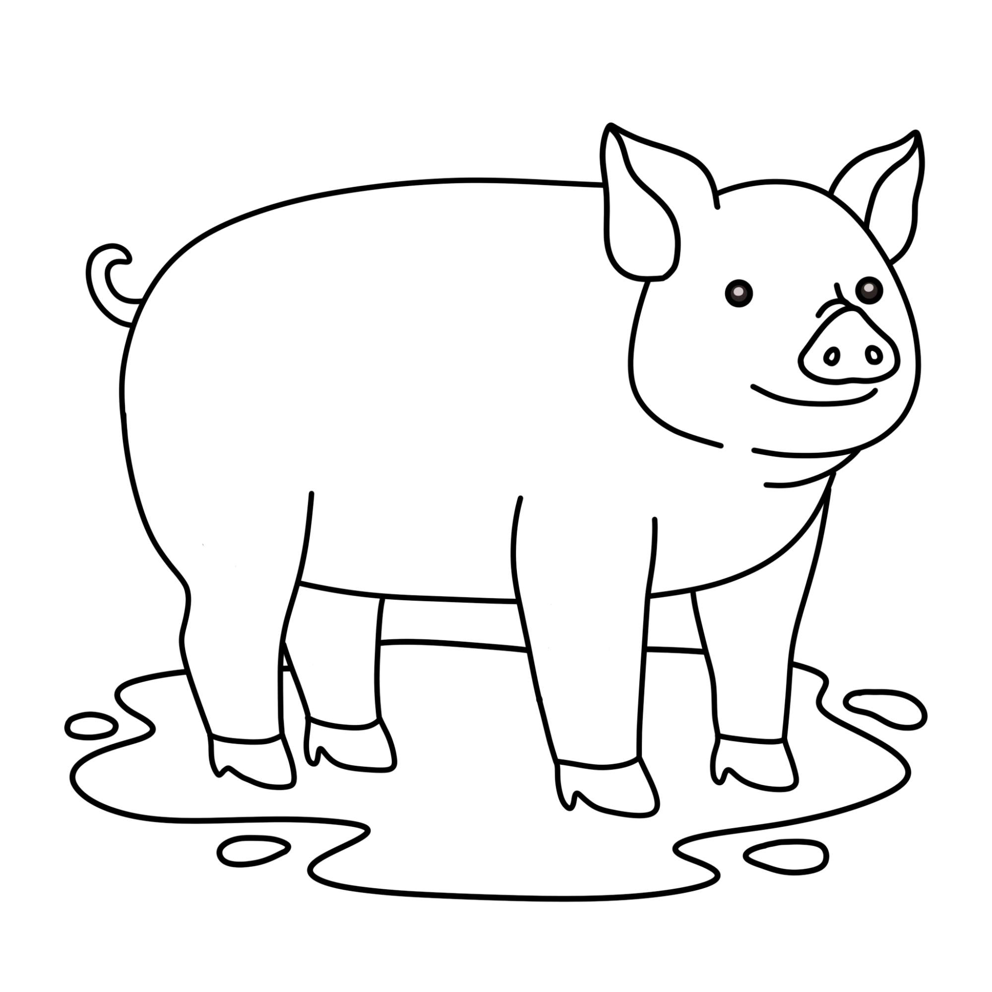 How to Draw a Pig - Step-12